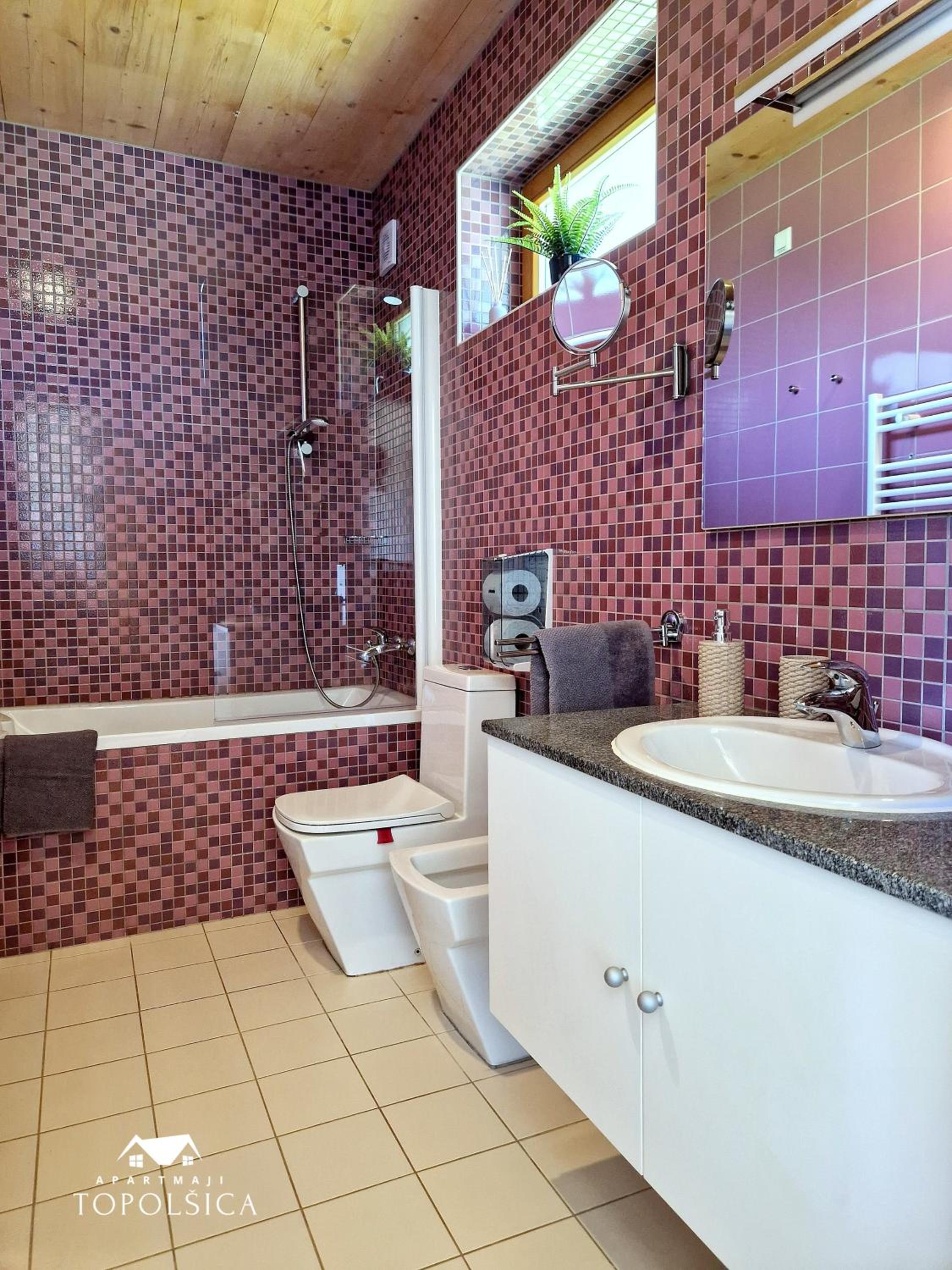 Apartment DREN near terme Topolšica view 5