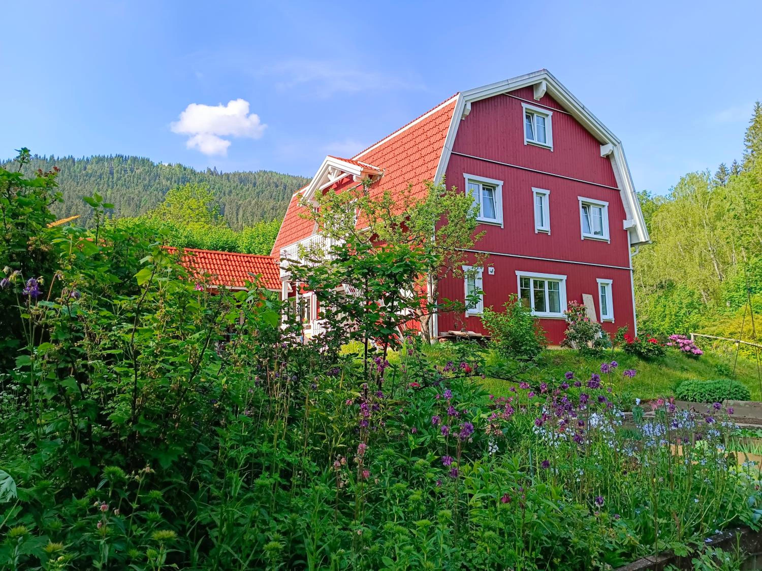 Haus Grünfels ApARTment