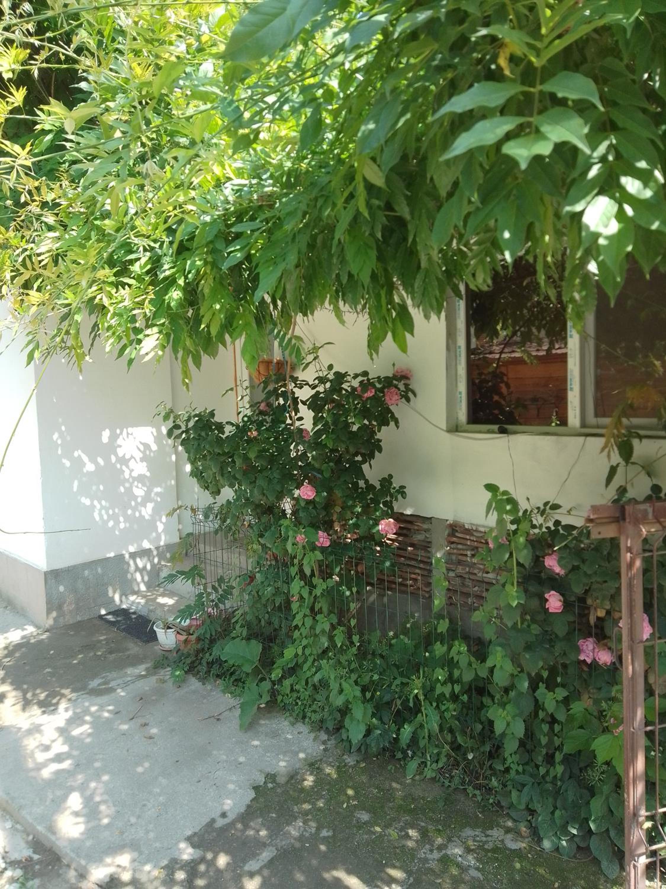 Photo 30