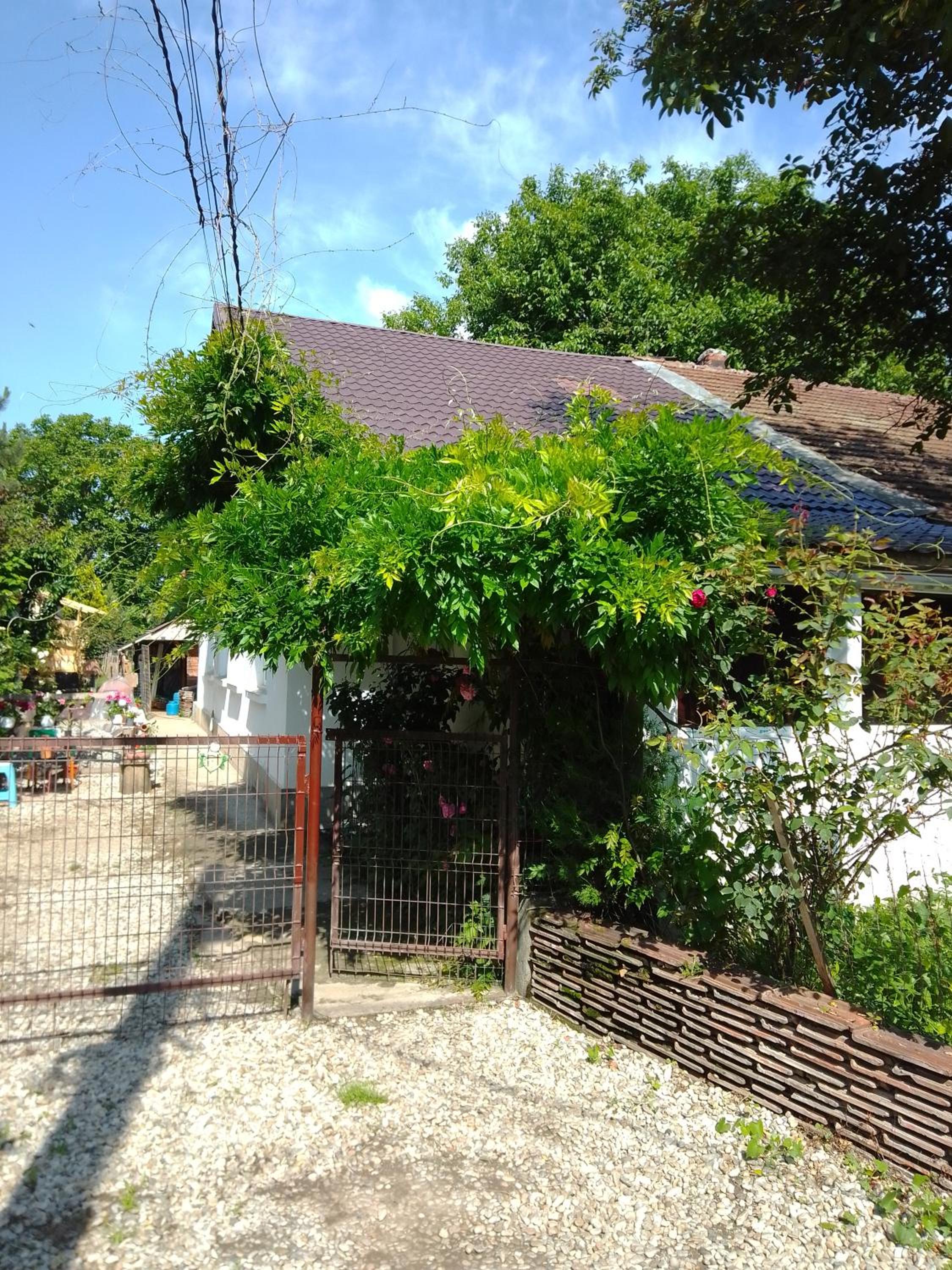 Photo 34
