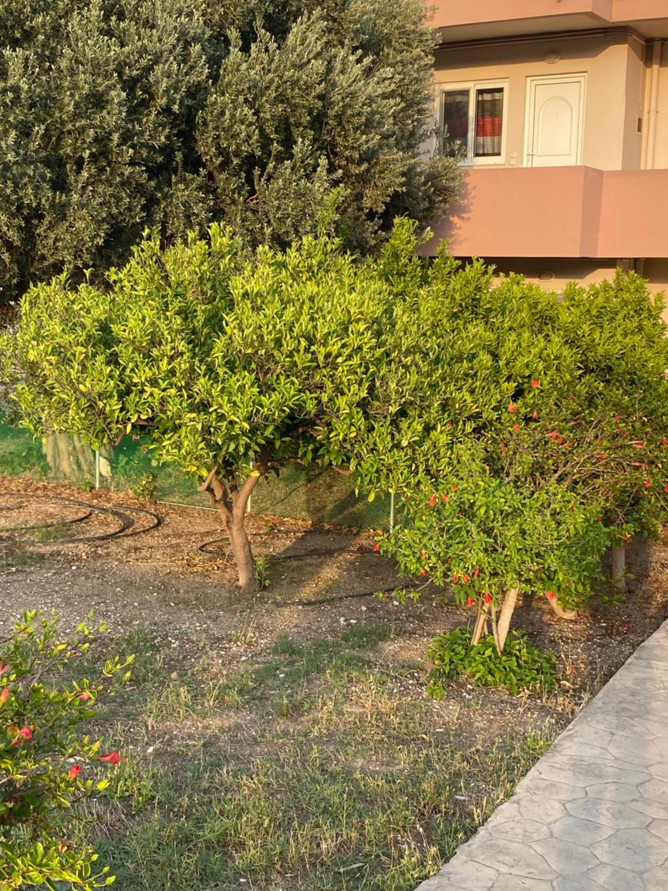 Fotis House 2 view 3