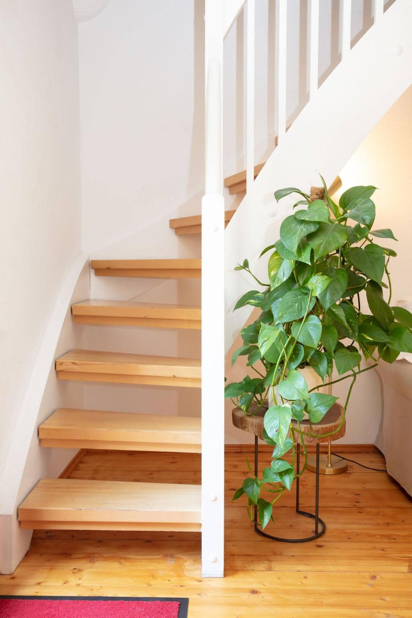Ganzes Haus mit großem Garten und eigener Sauna view 5