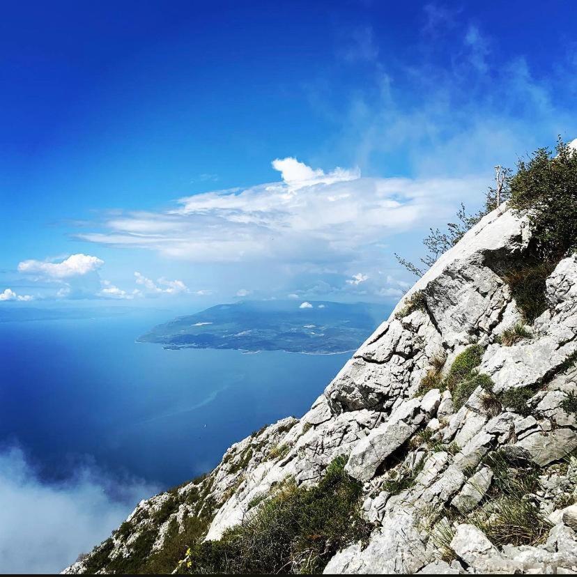 The best location in Makarska,free P,apt Mile,bikes