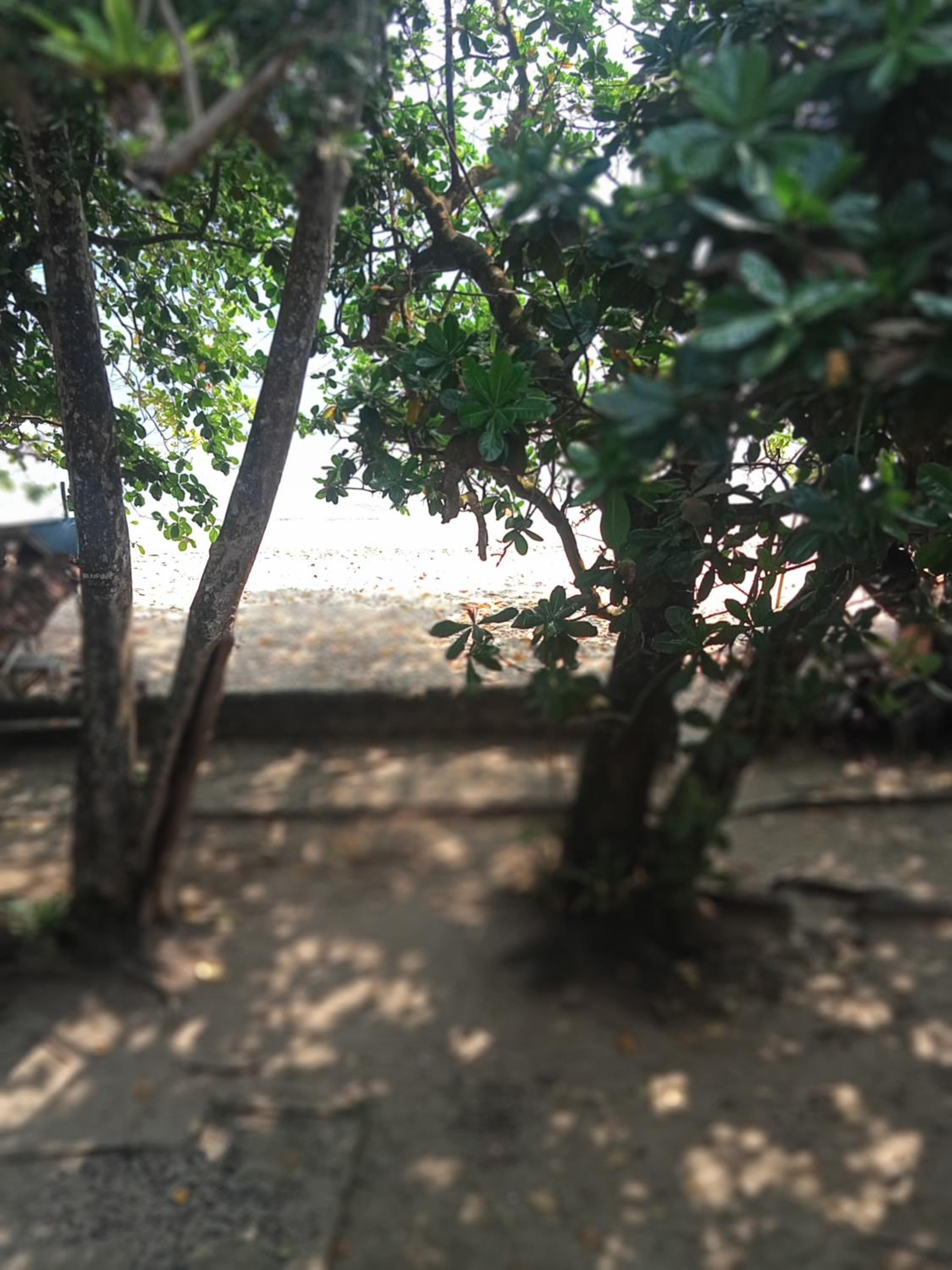 CONDOMINIUM LIPPO PANTAI CARITA