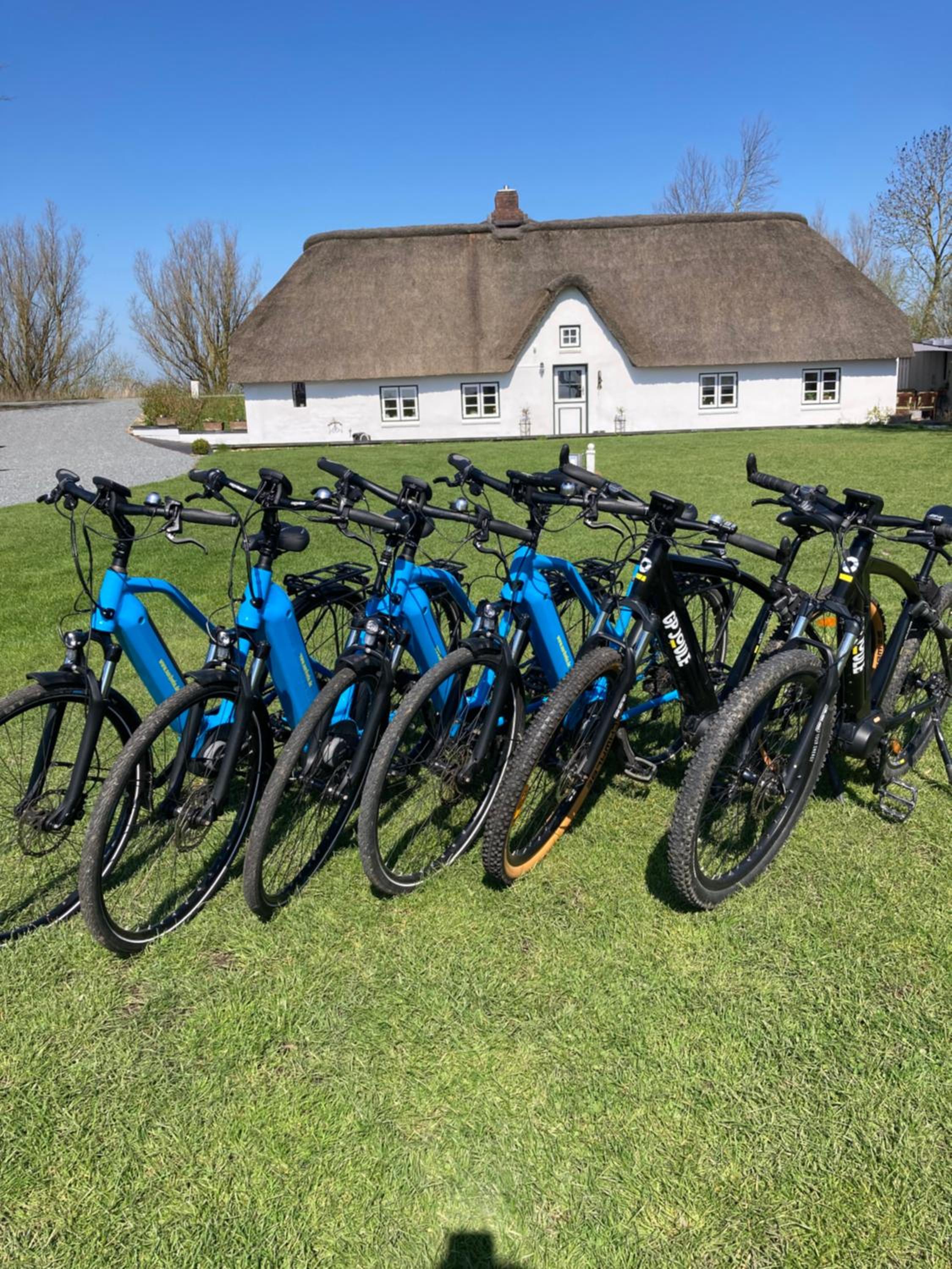 Reetdachhaus, Sauna, E-Bikes, 6 Personen
