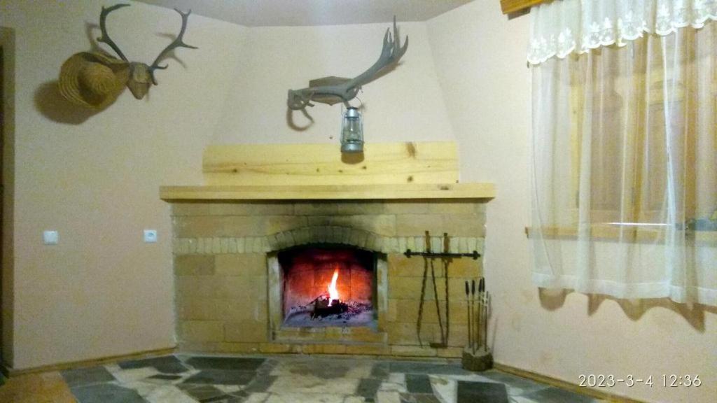 Guesthouse Aleksastan