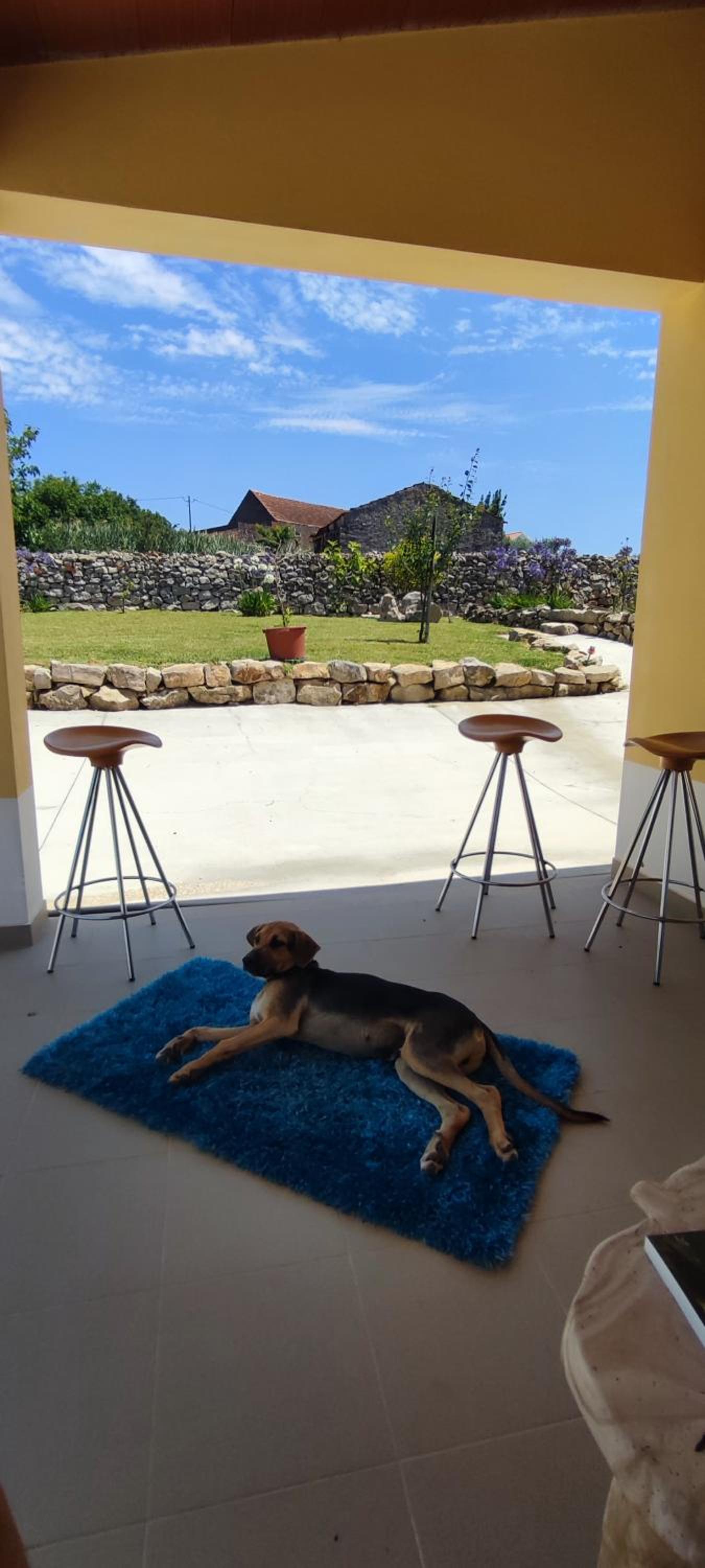 Kyrios Lounge Studio with use of private pool view 3