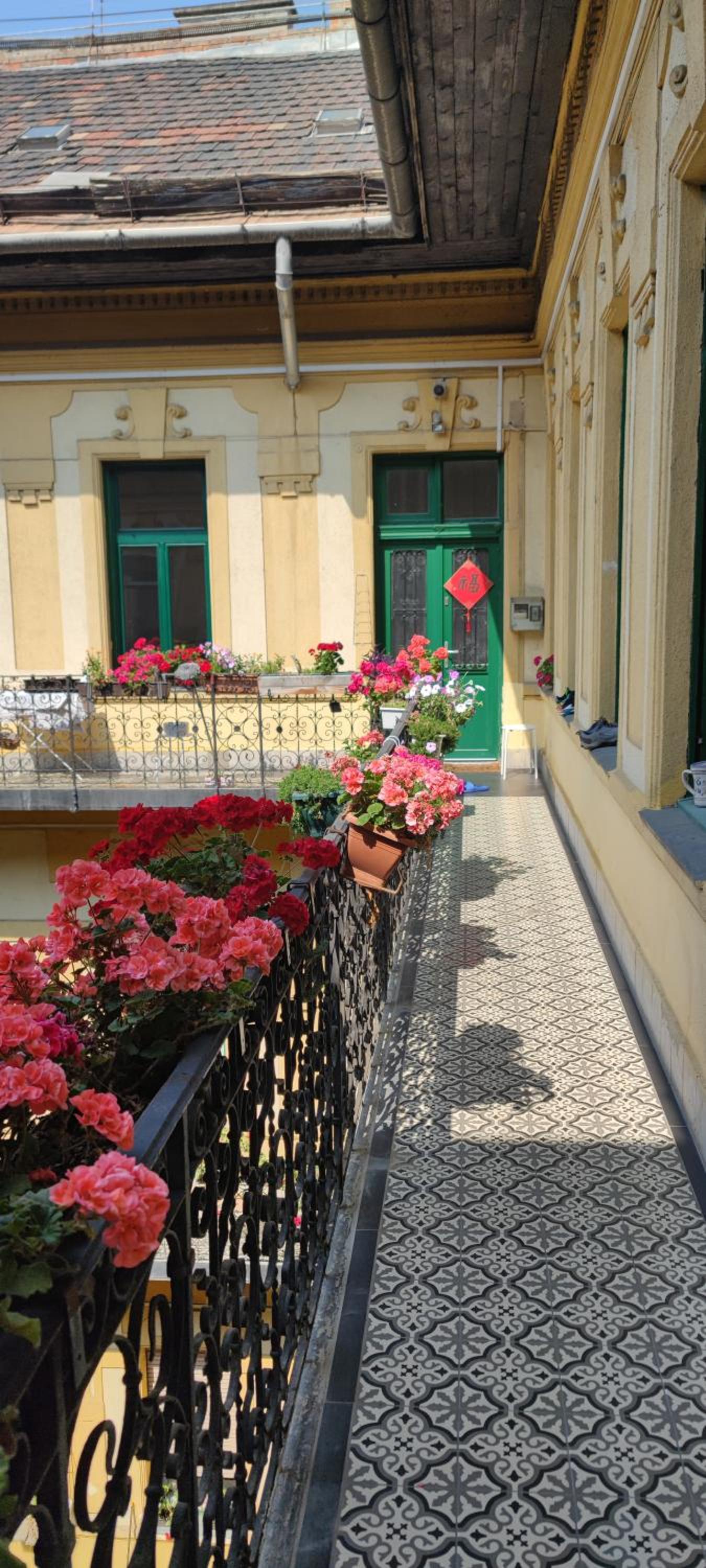 Congress Margit house view 2