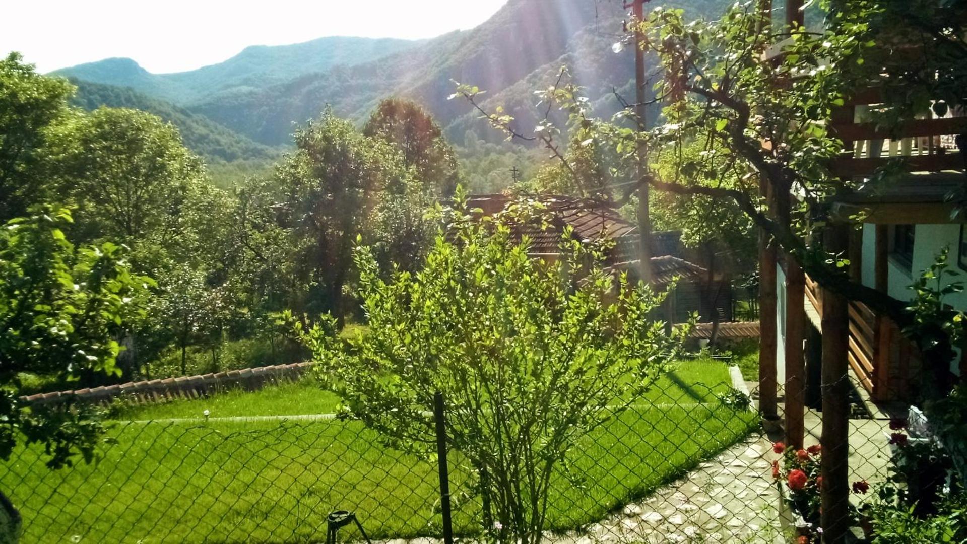 Photo 8