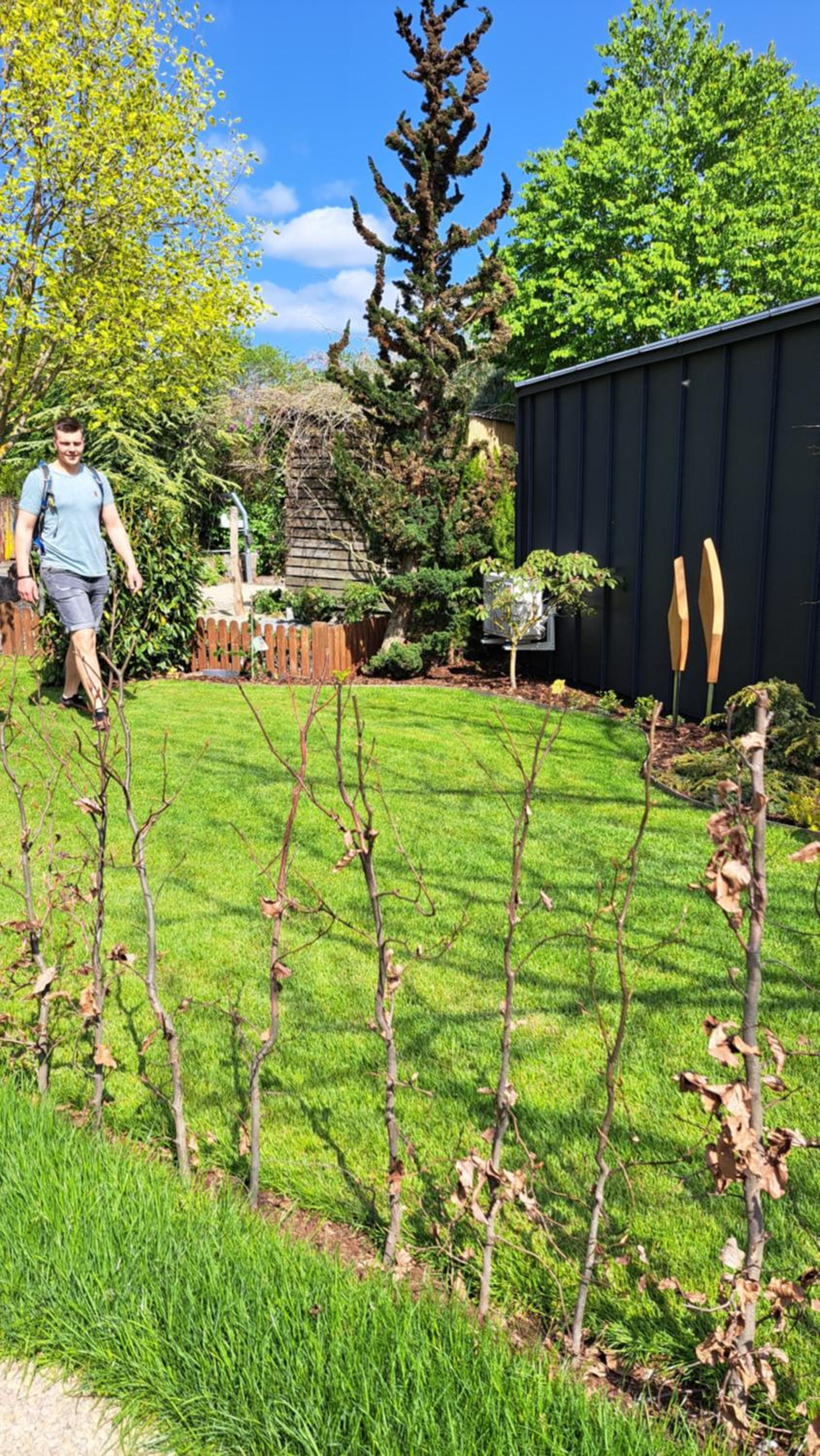 Sauerland-Tinyworld - Ihr Tiny Ferienhaus am Rande des Sauerlandes, Nähe Diemelsee