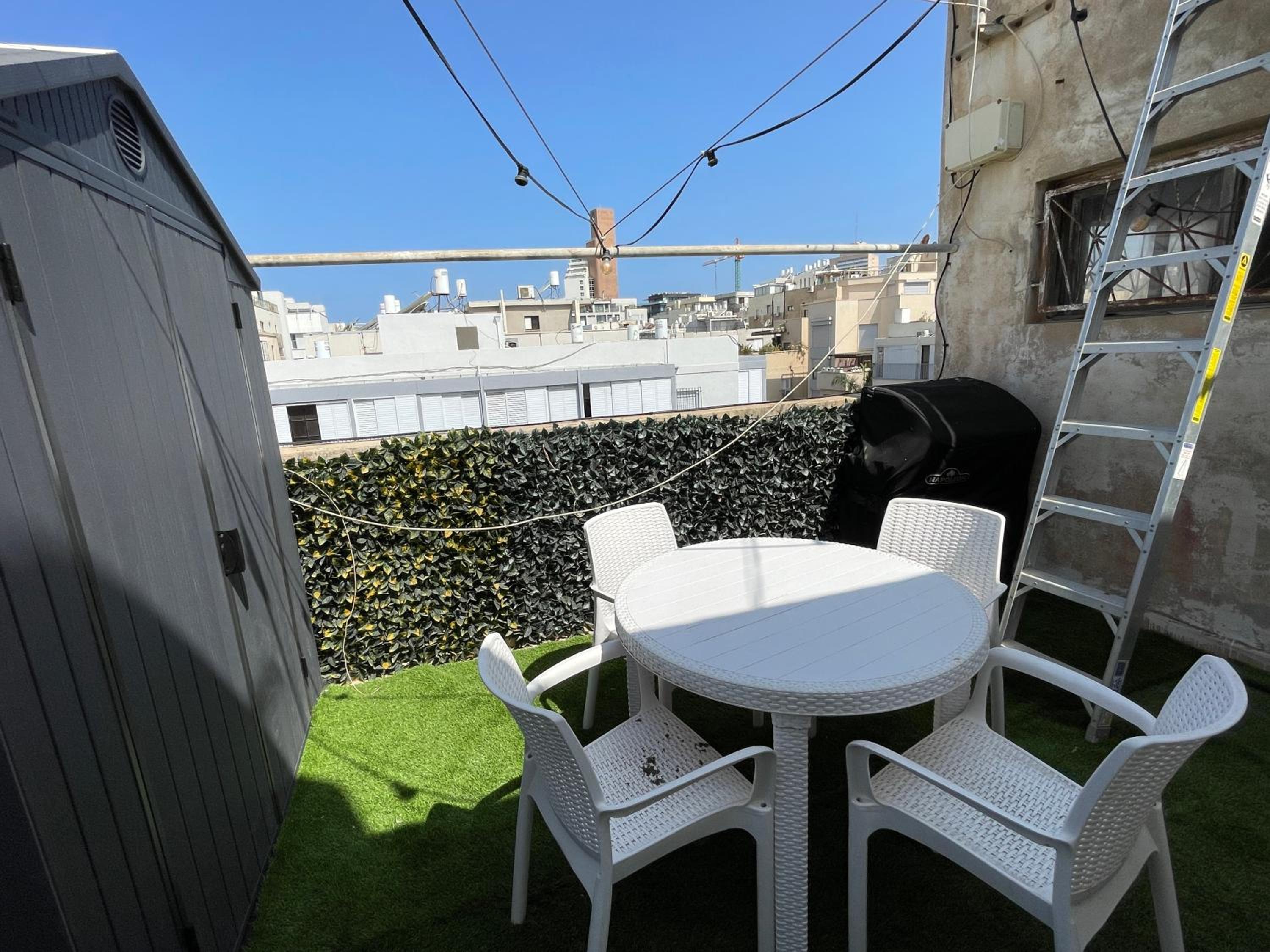 Bograshov Rooftop Apartment view 2