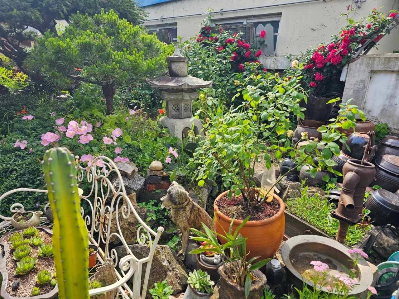 Beautiful Garden Fine Day House view 3