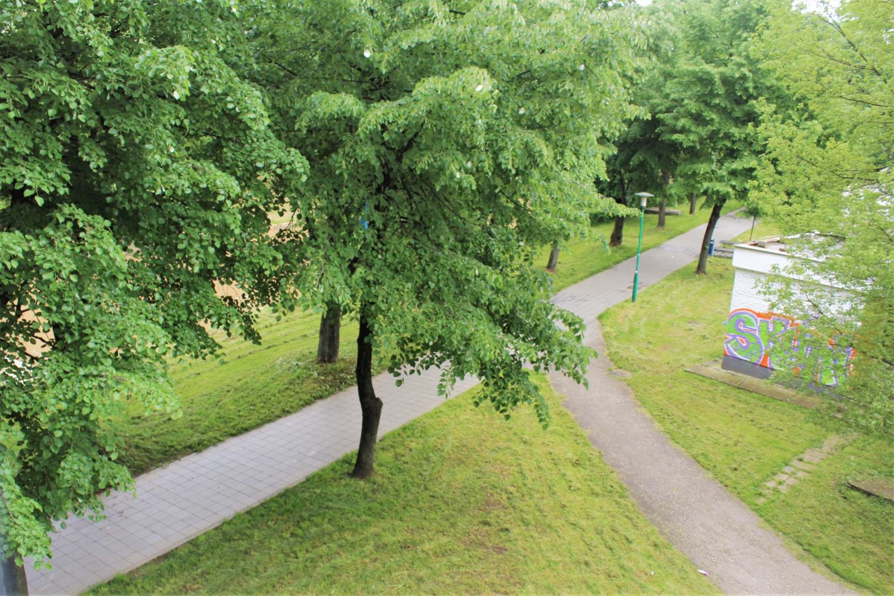 GREEN Apartment