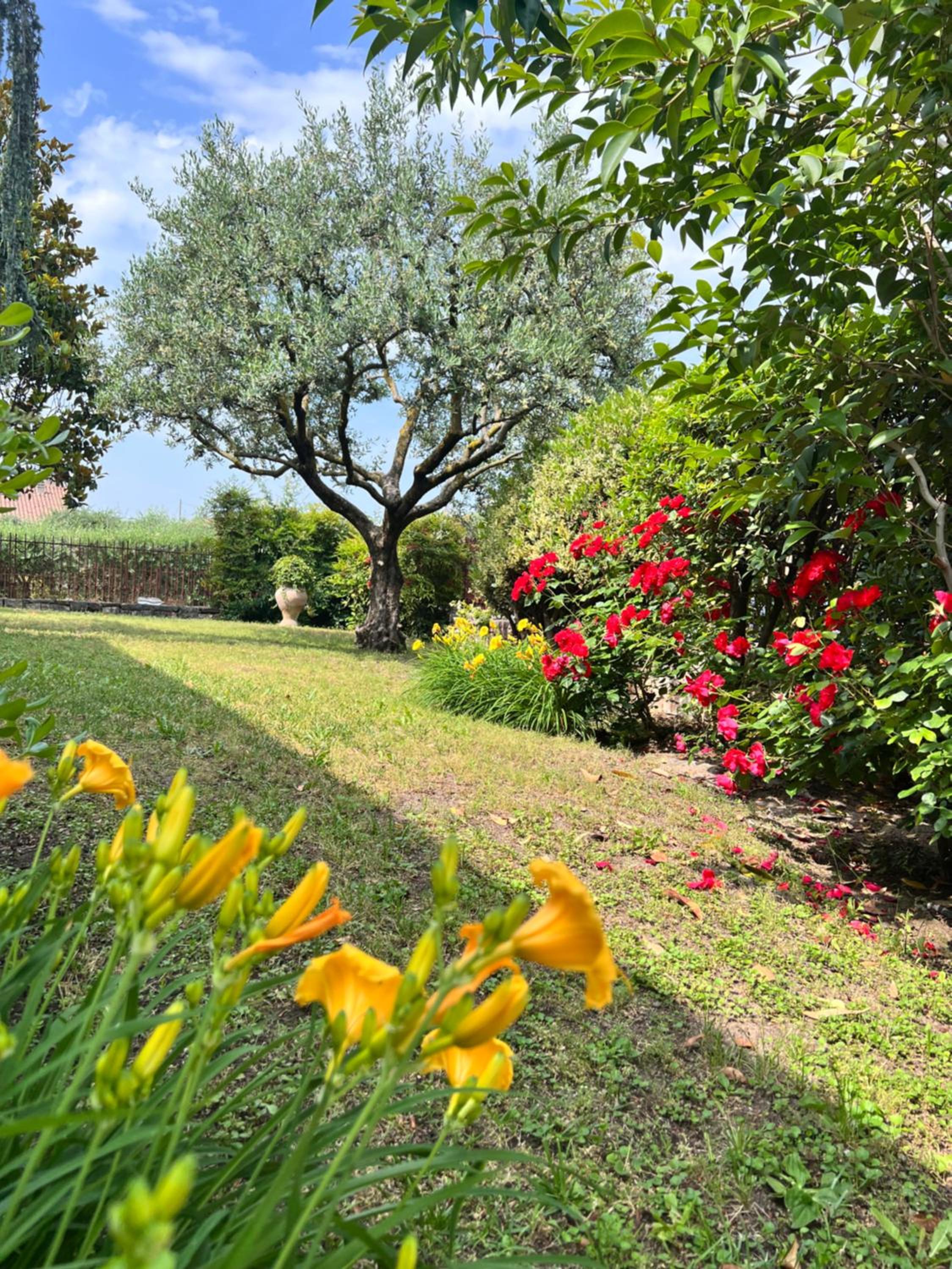 Photo 33