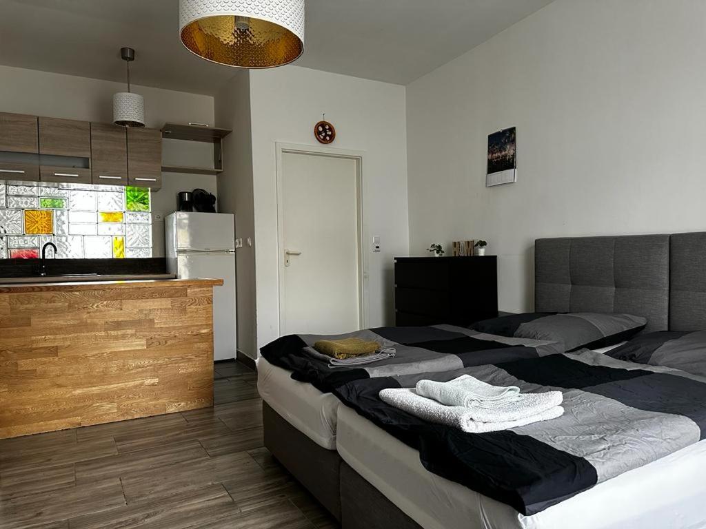 Nice and comfortable studio in Pankow