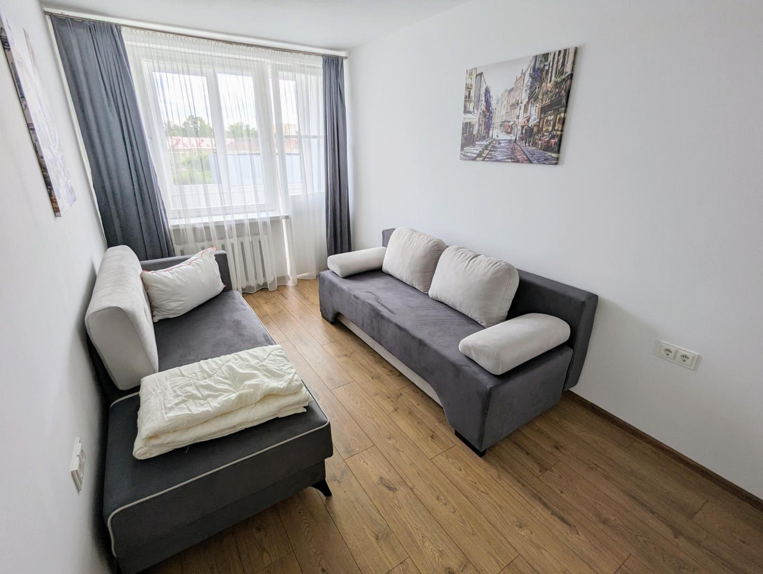 Lovely 2-bedroom flat in the heart of Druskininkai view 5