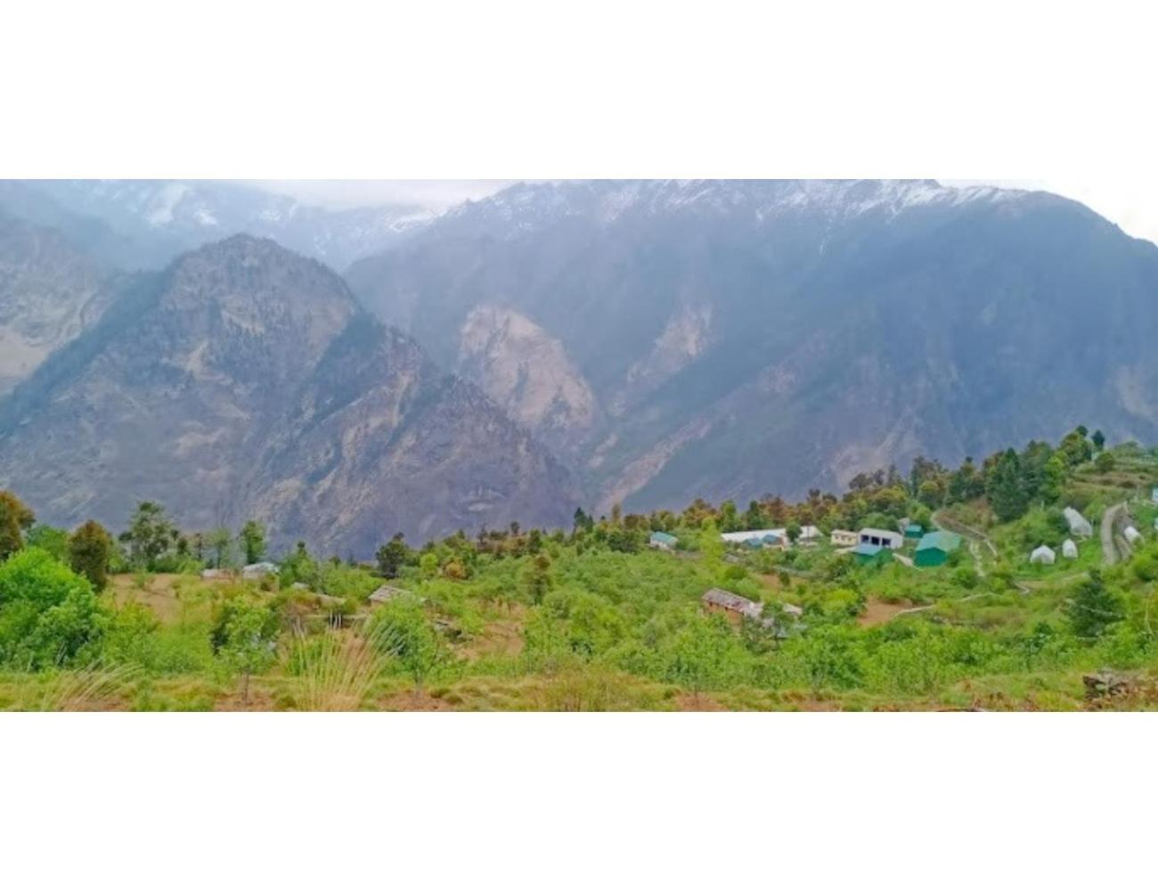 Hotel Mud House Auli, Joshimath, view 2