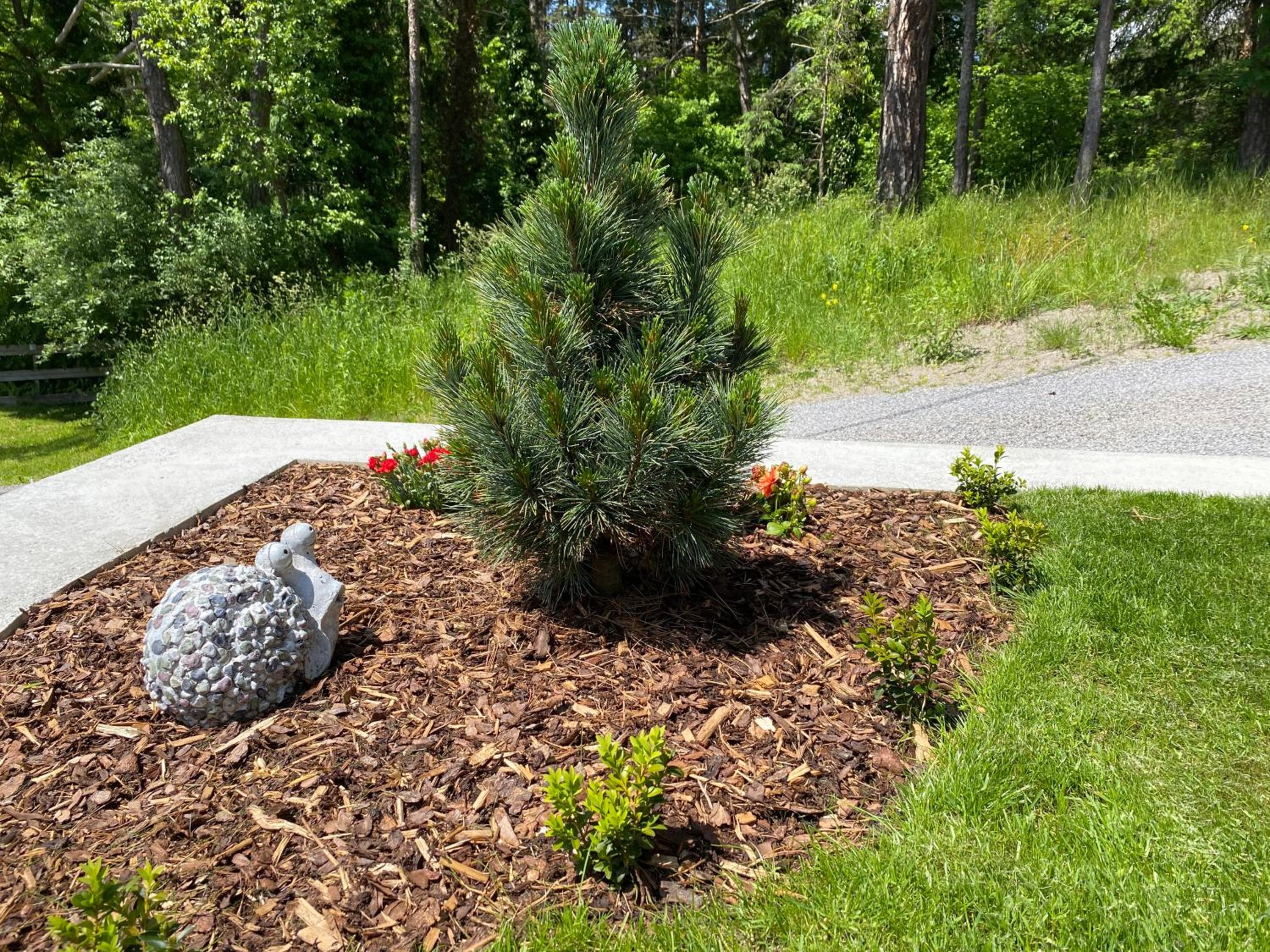 Photo 6
