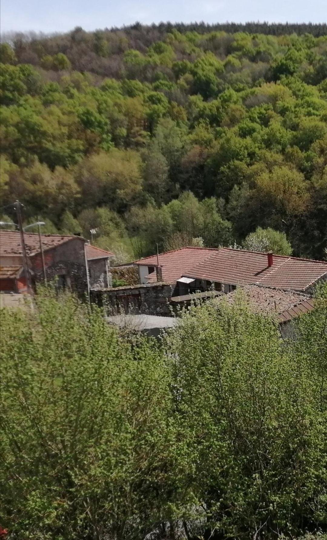 A CASA DOS AVÓS view 3