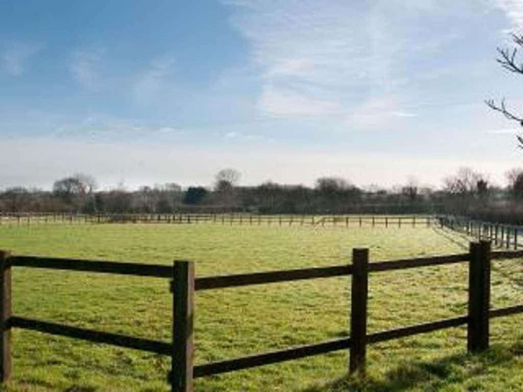 Owls Nest - Peace and Tranquility near Woodbridge & Framlingham in rural Suffolk view 5