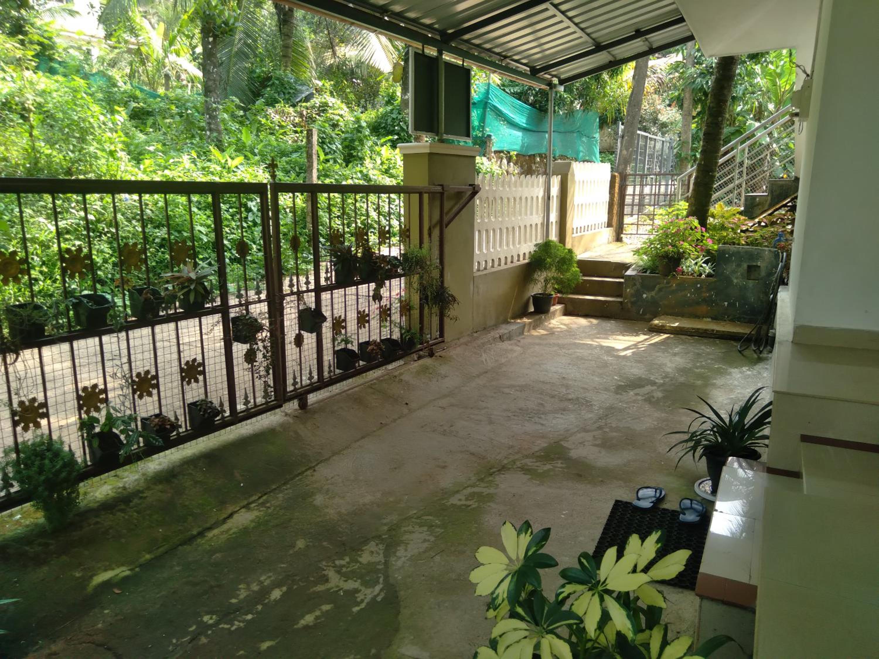 Homely Homes