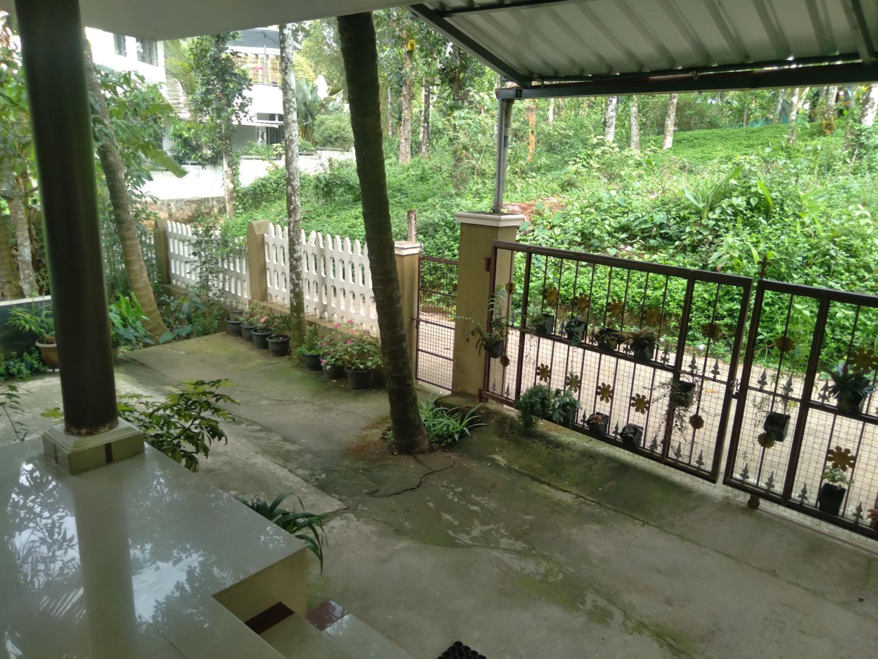 Homely Homes