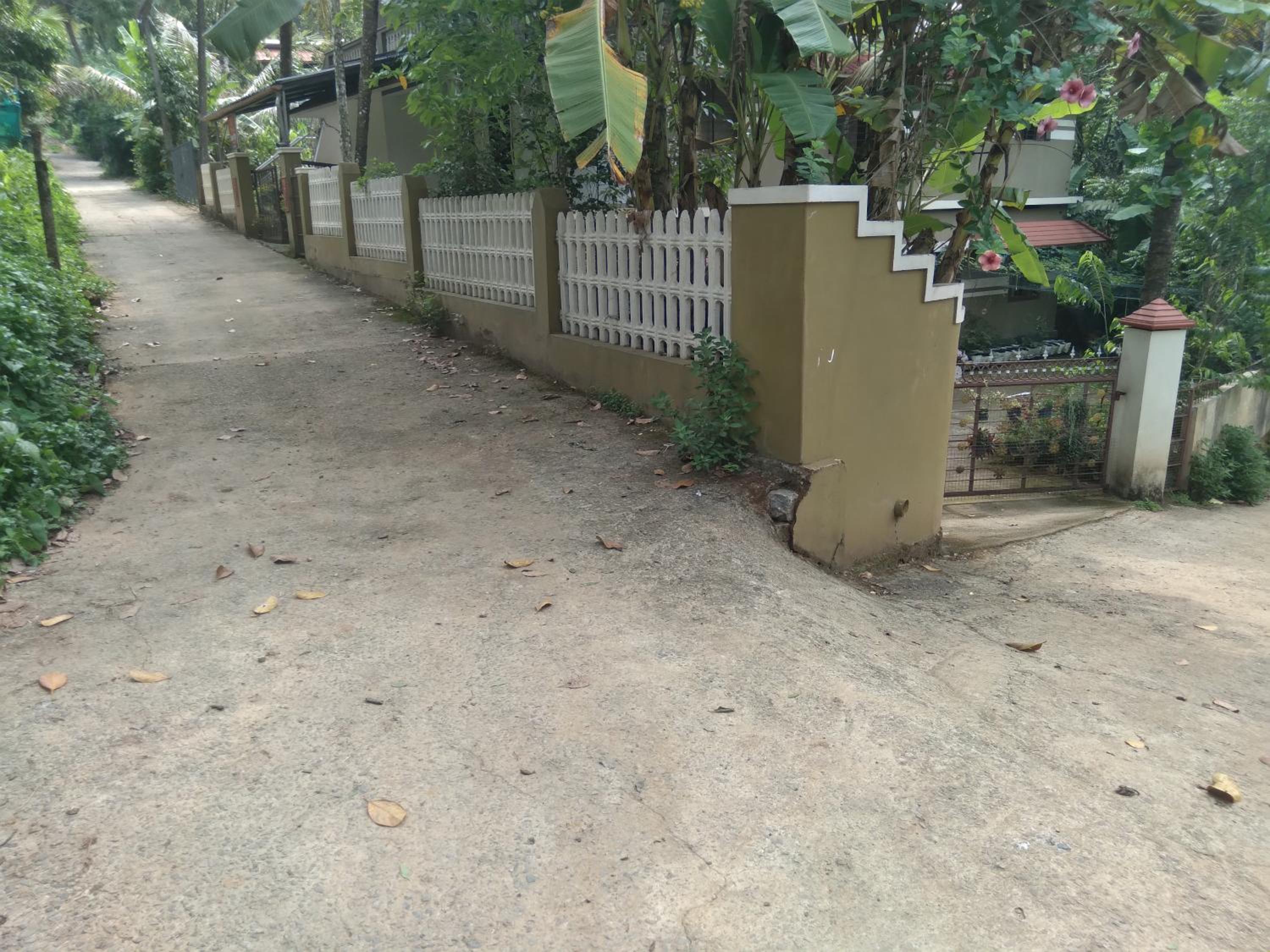 Homely Homes