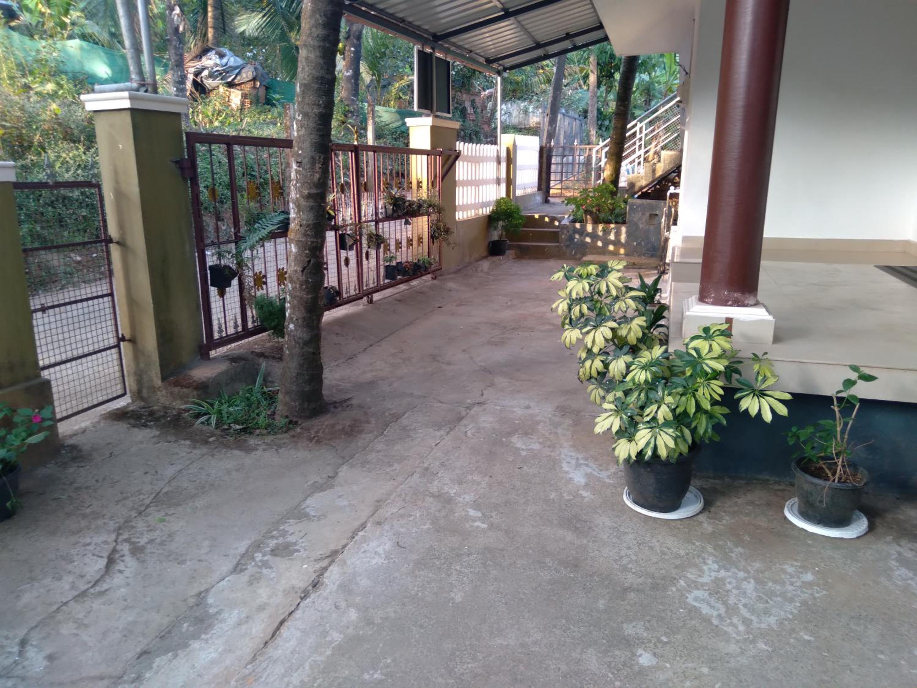 Homely Homes