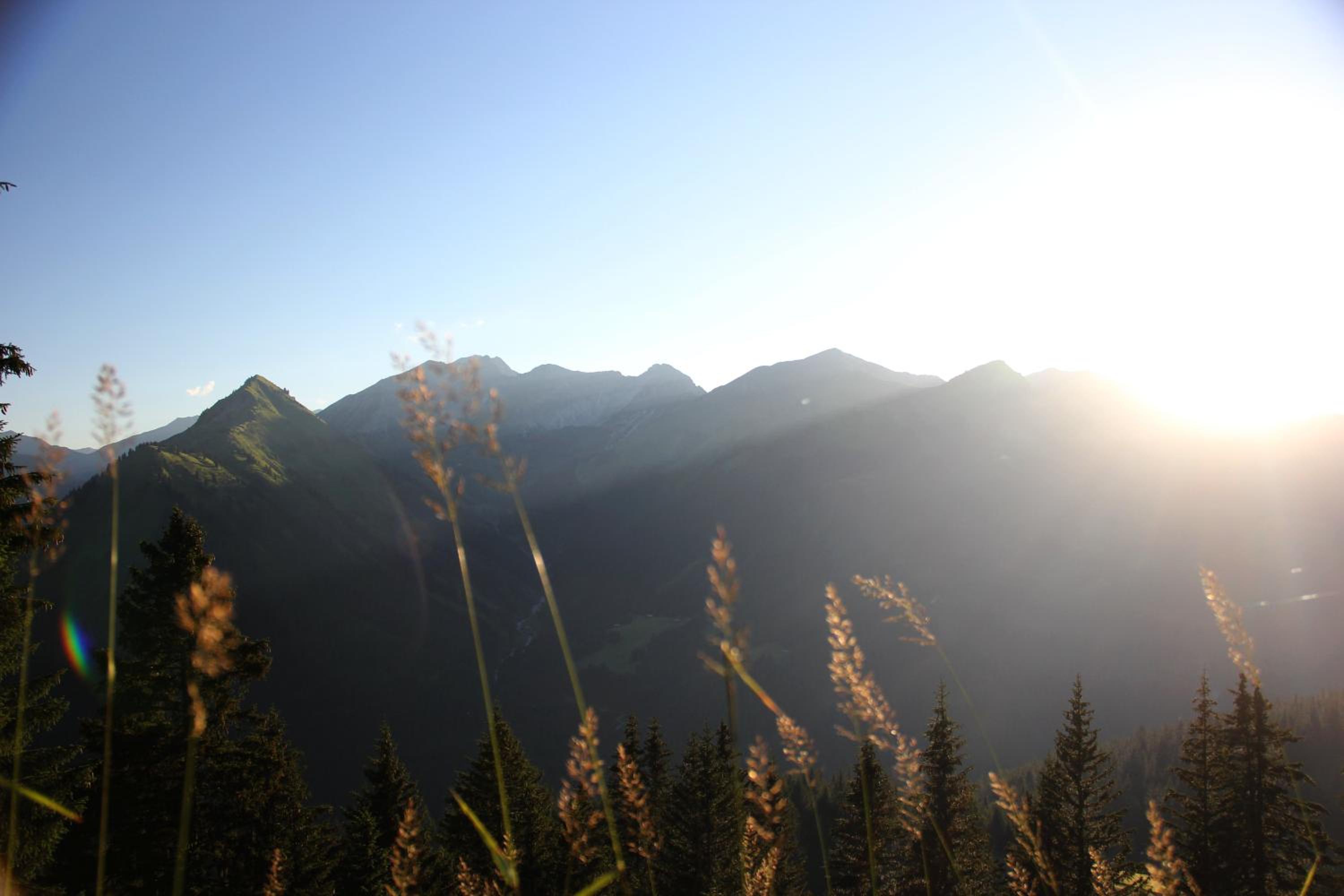 Alpenperle - ruhige Auszeit nahe Berwang mit Bergblick