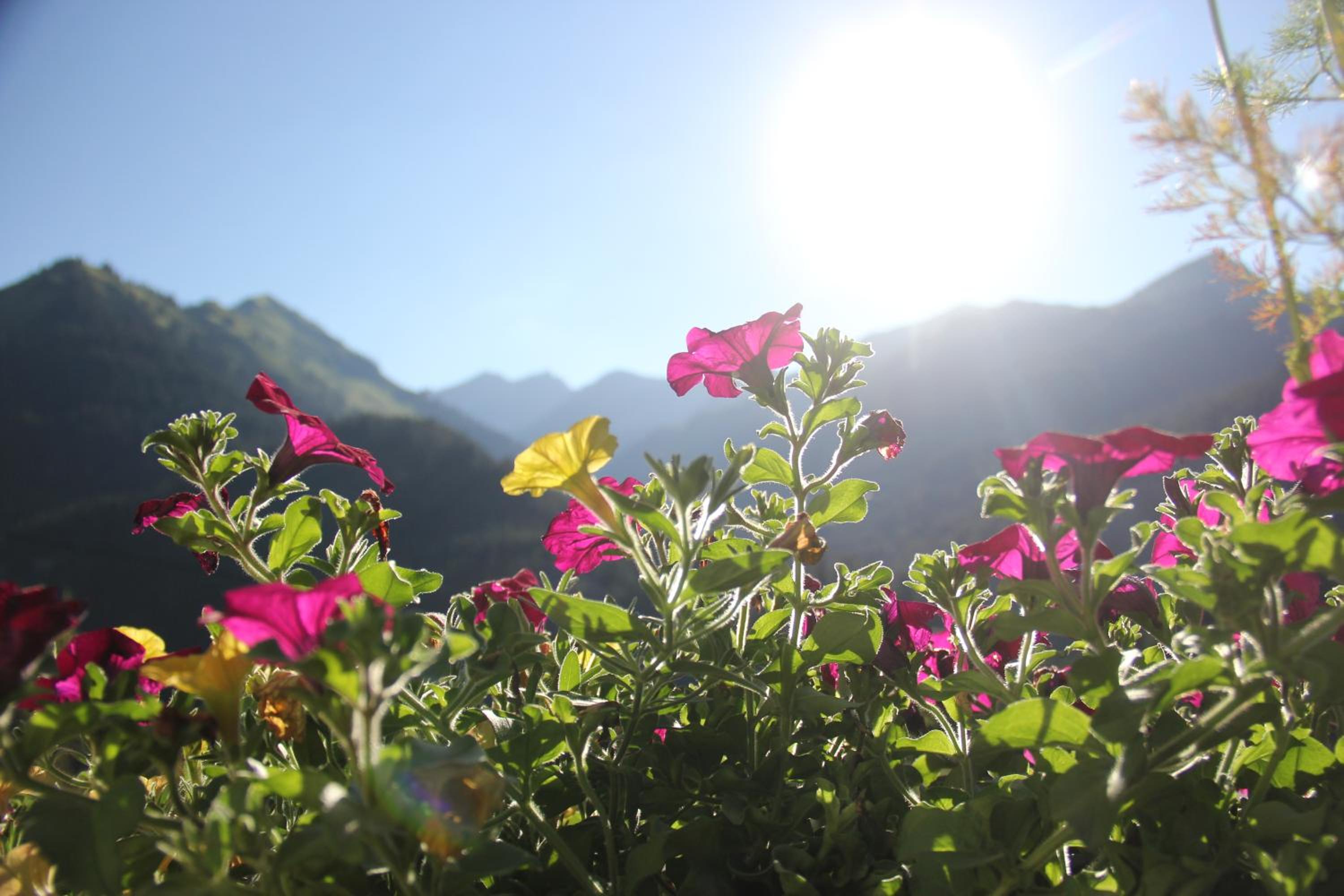 Alpenperle - ruhige Auszeit nahe Berwang mit Bergblick