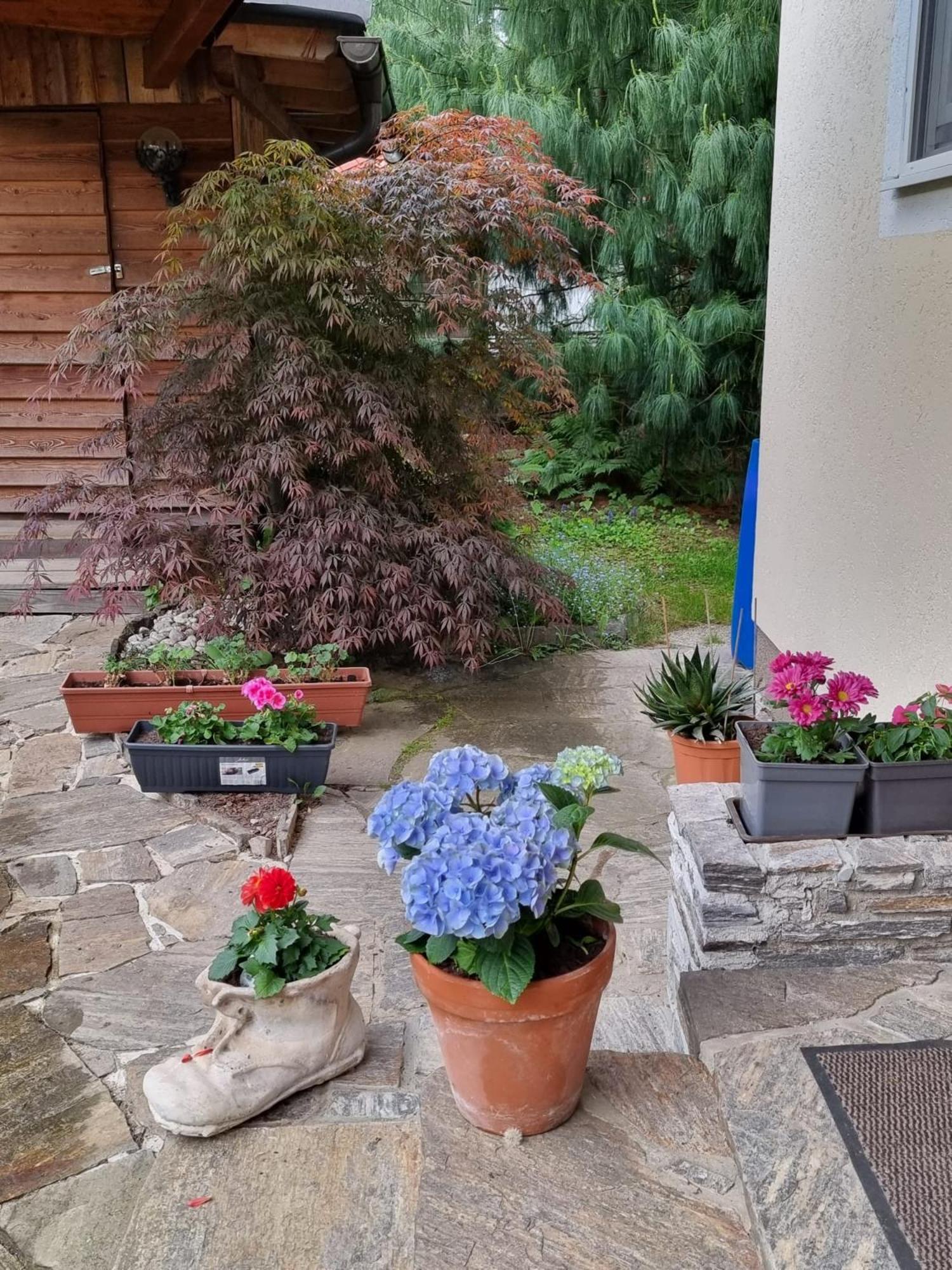 Haus Flora - Ferienwohnung Bodensdorf