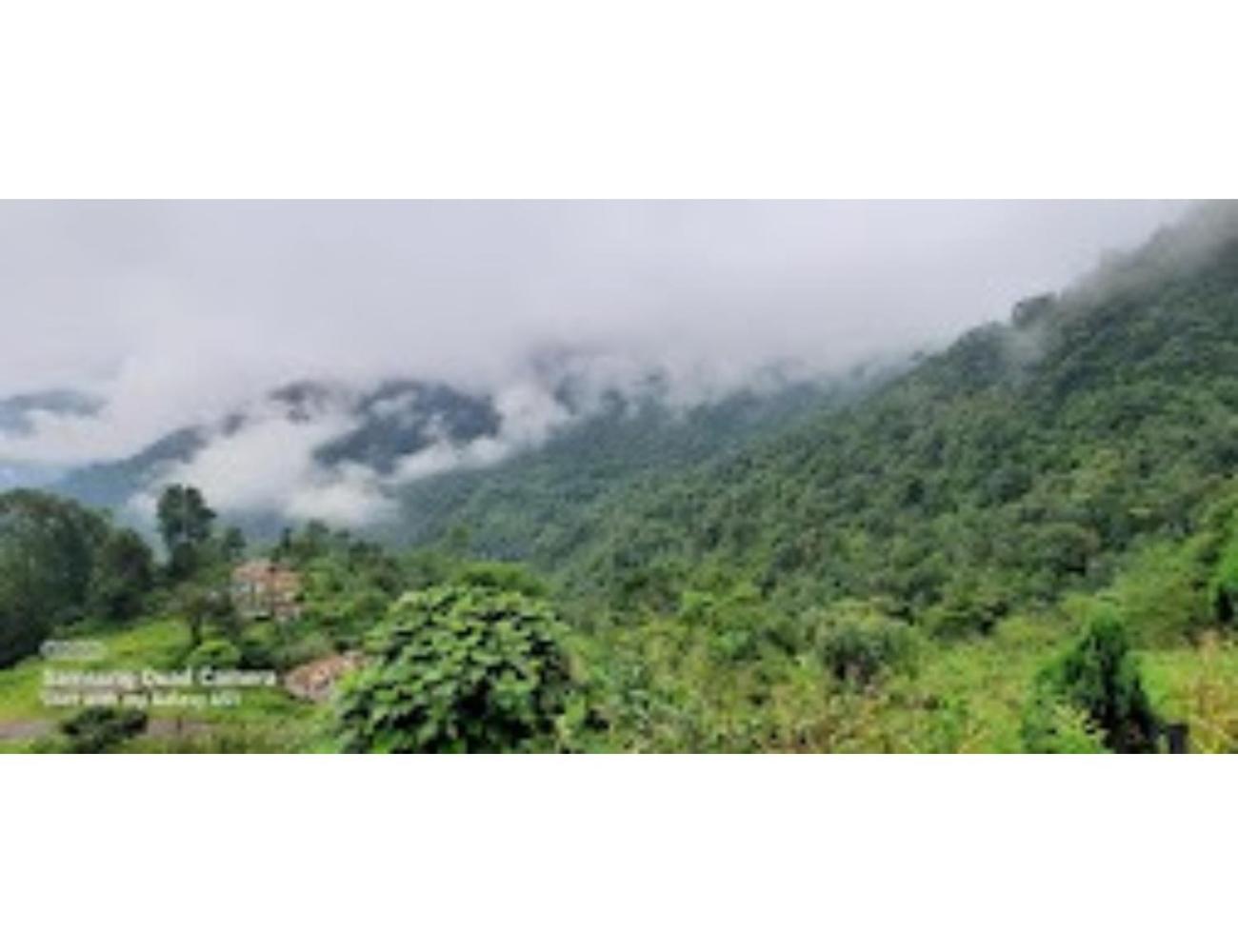Hill Home Stay, Mankhim Road, Aritar, Sikkim view 5