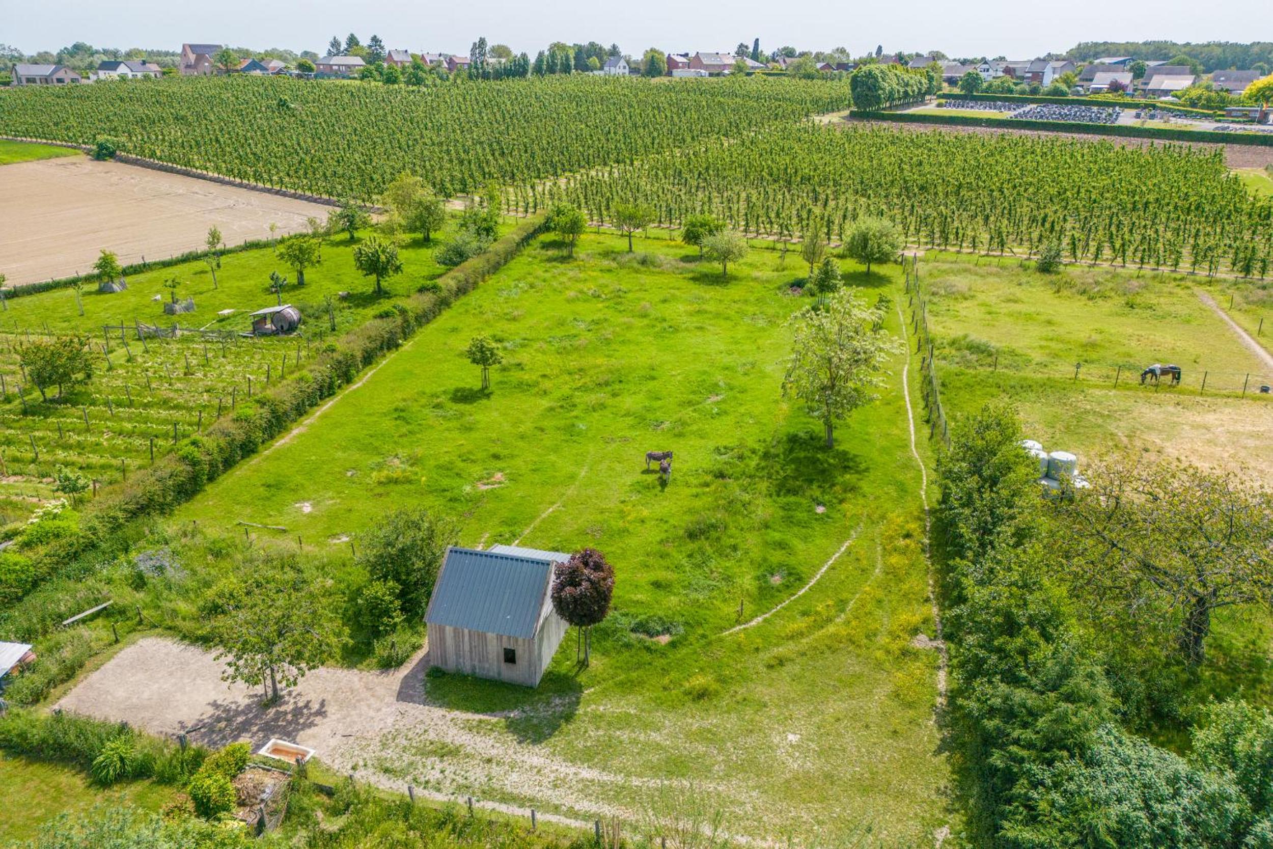 unique hideaway, holiday house with large garden