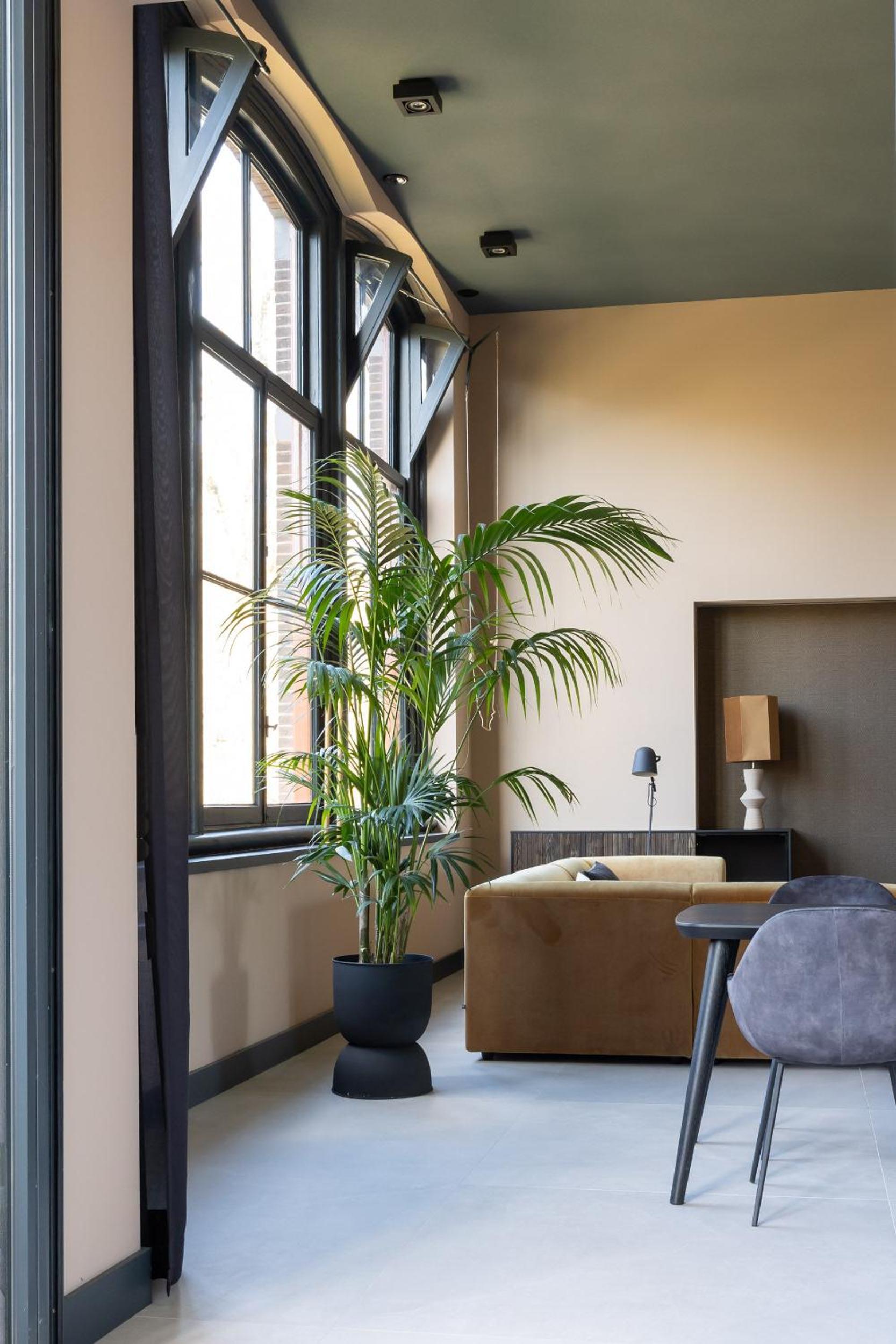 Park Lofts Groningen