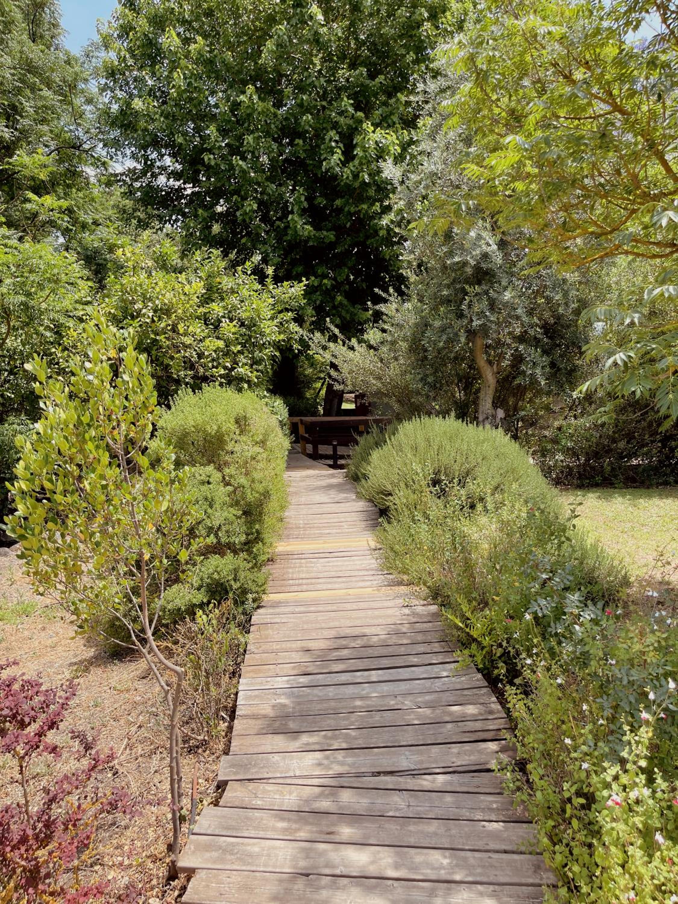 Nofey HaBashan Country Lodge