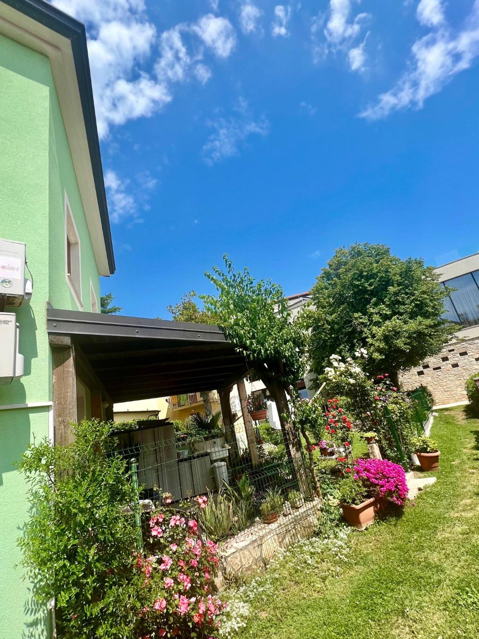 Photo 19