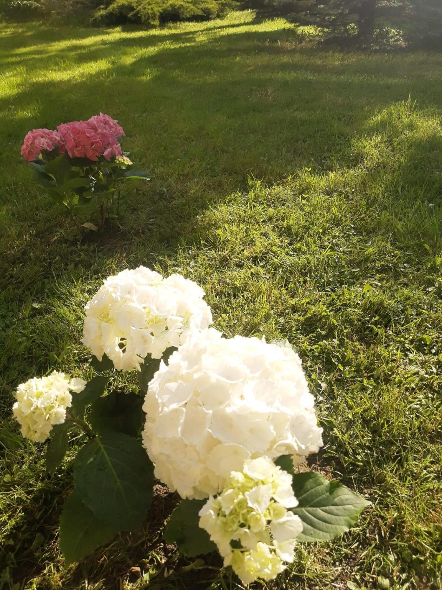 Photo 35