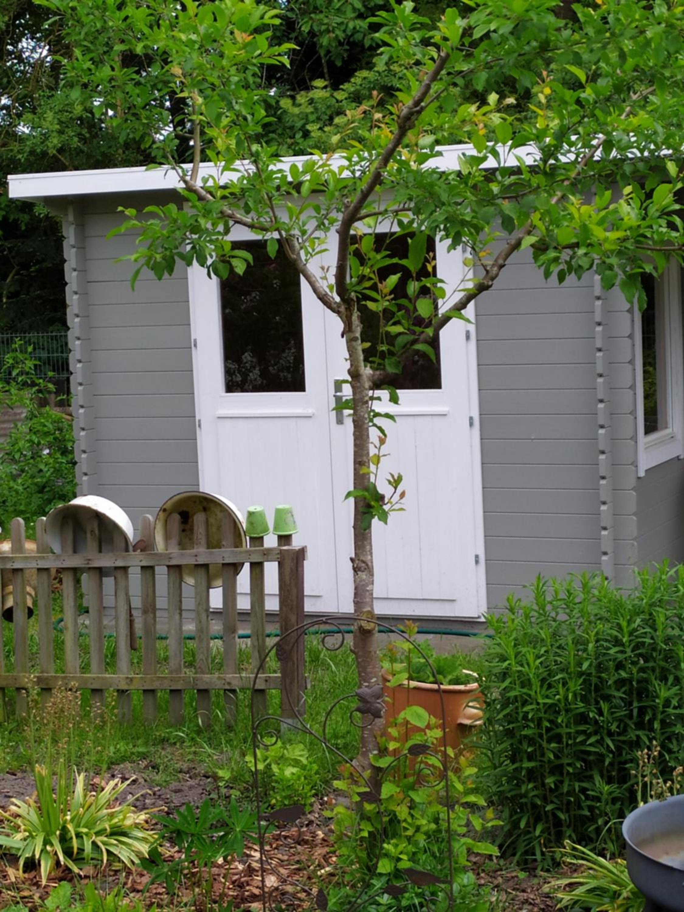 Photo 12