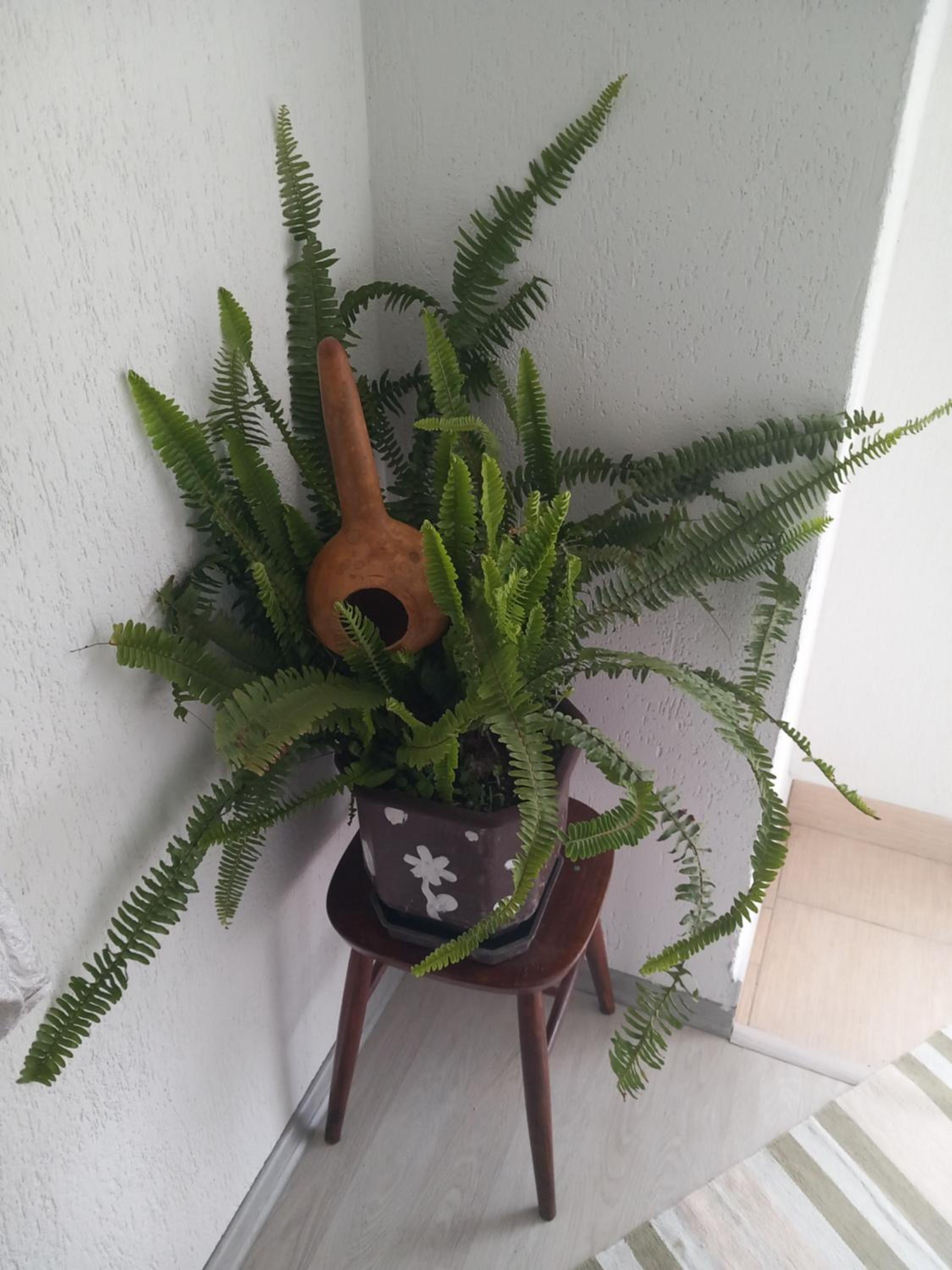 Apartman Sadba