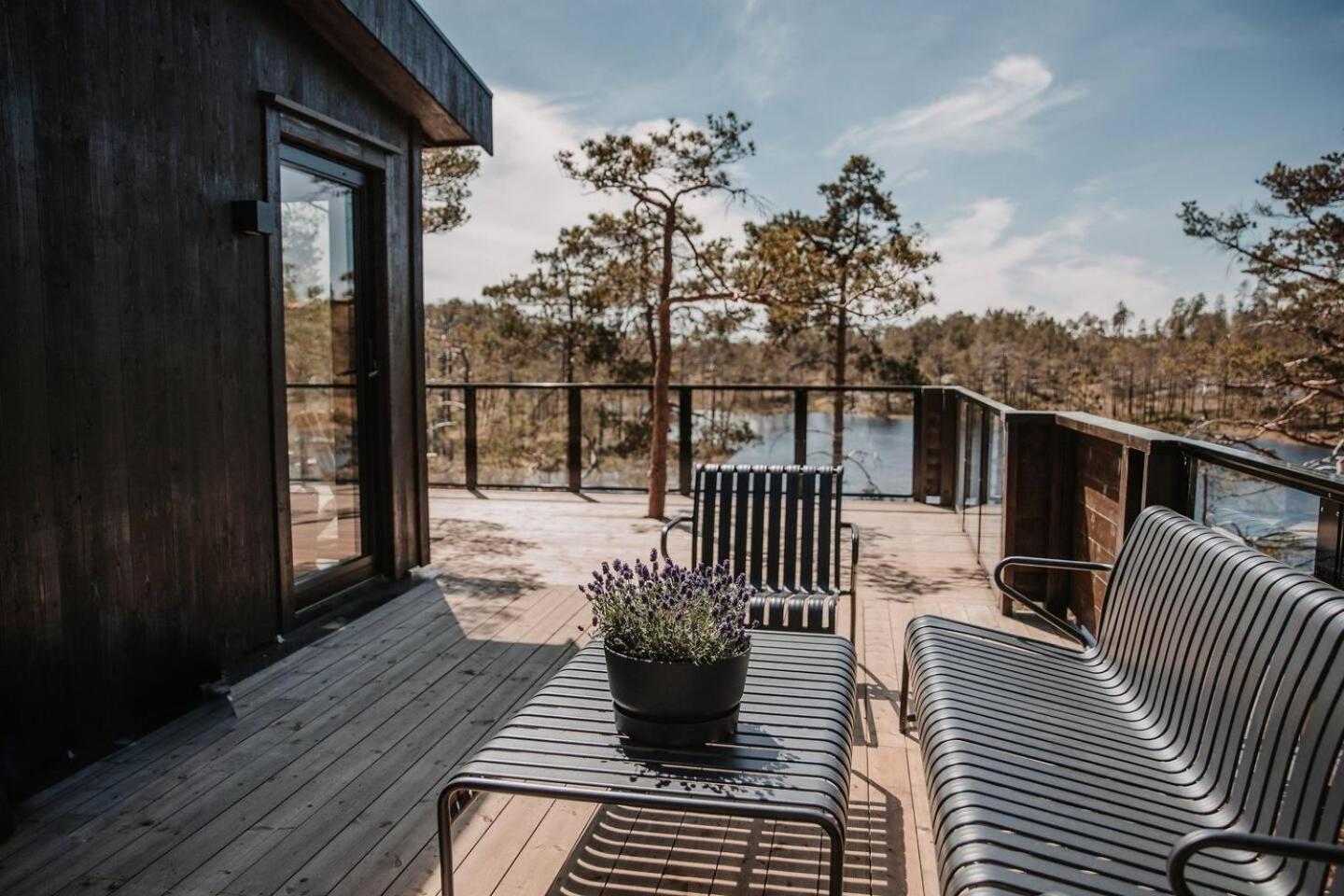 Luxurious Tree Top Cabin by the lake view 2