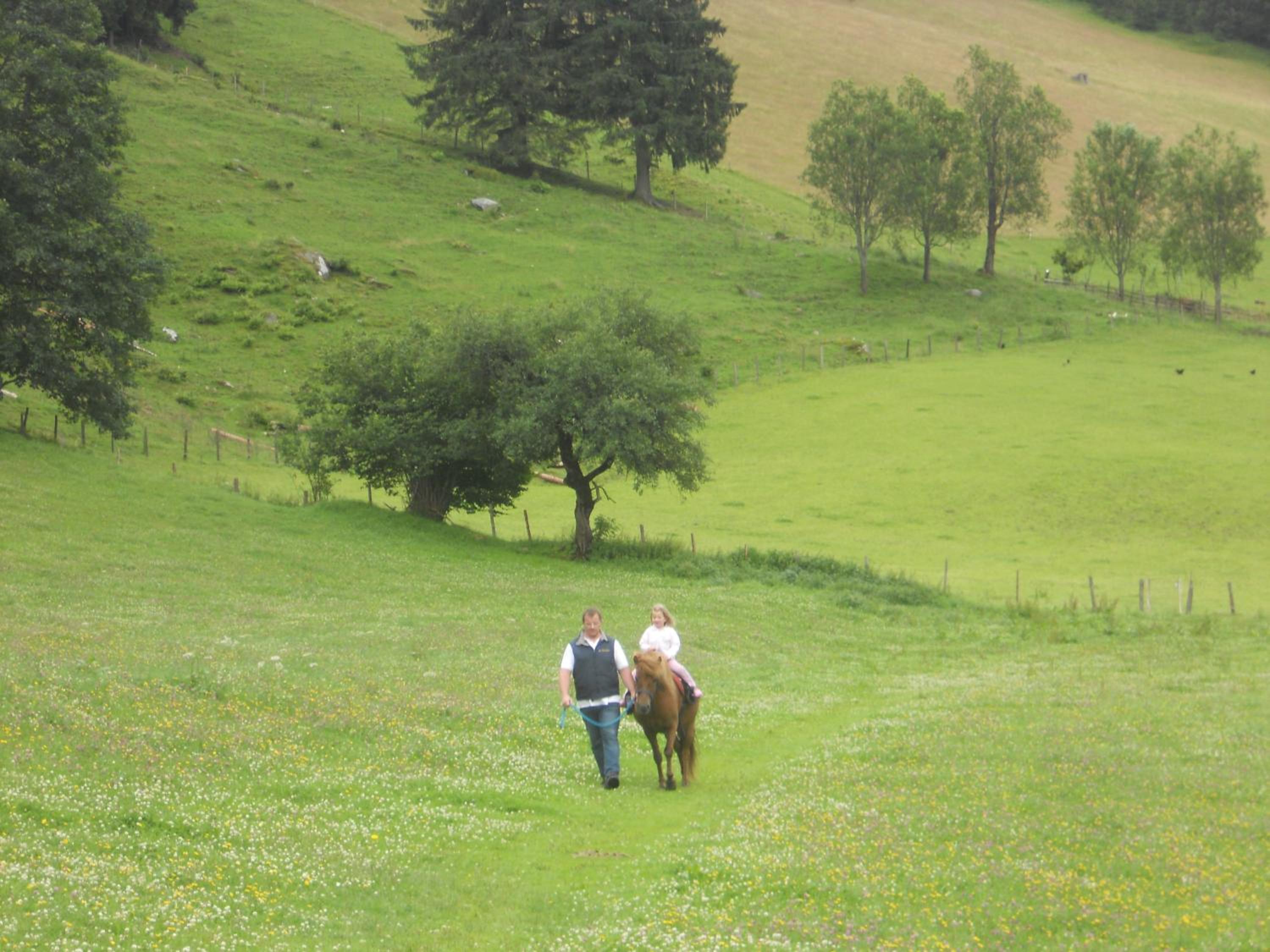 Der Perweinhof