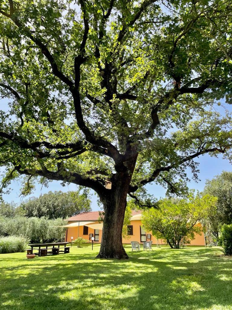 Agriturismo I Tre Fossi