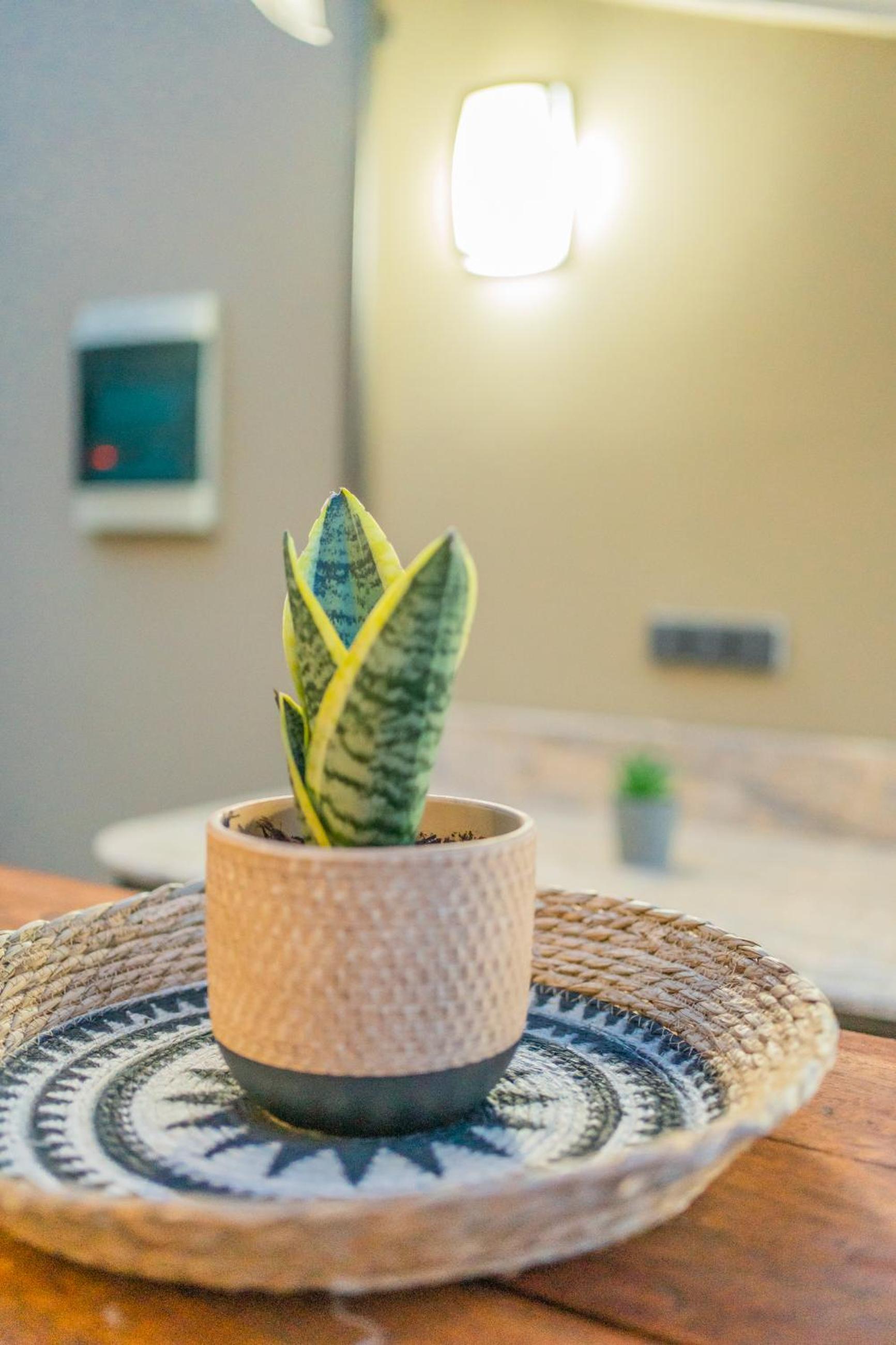 The Stone Manor , Noho boutique Thissio
