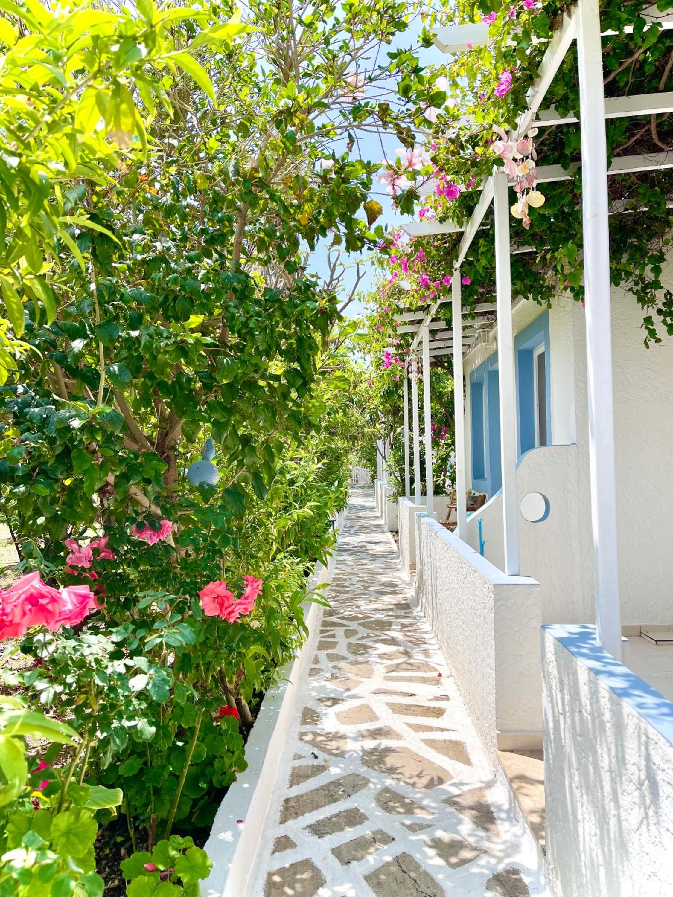 Seaside Studios Arkasa Karpathos view 4