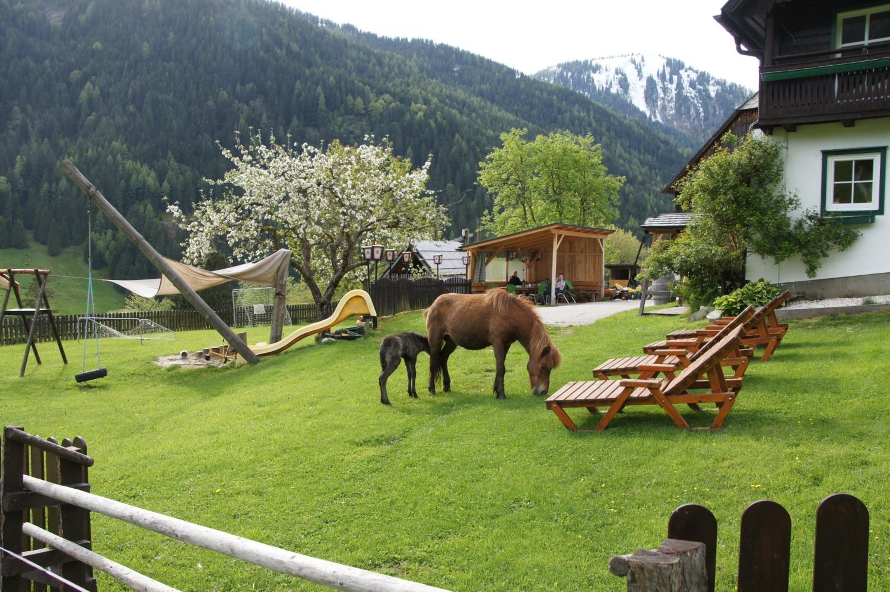 Der Perweinhof