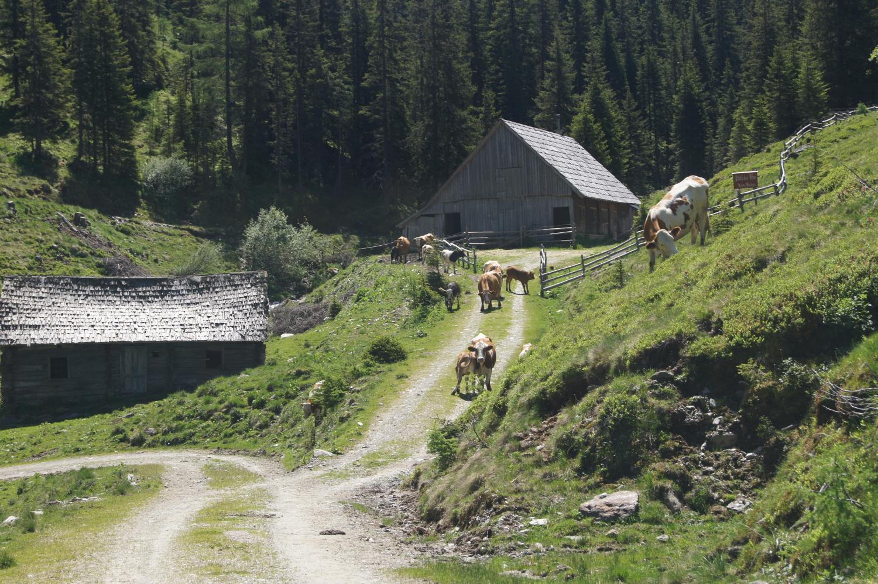 Der Perweinhof