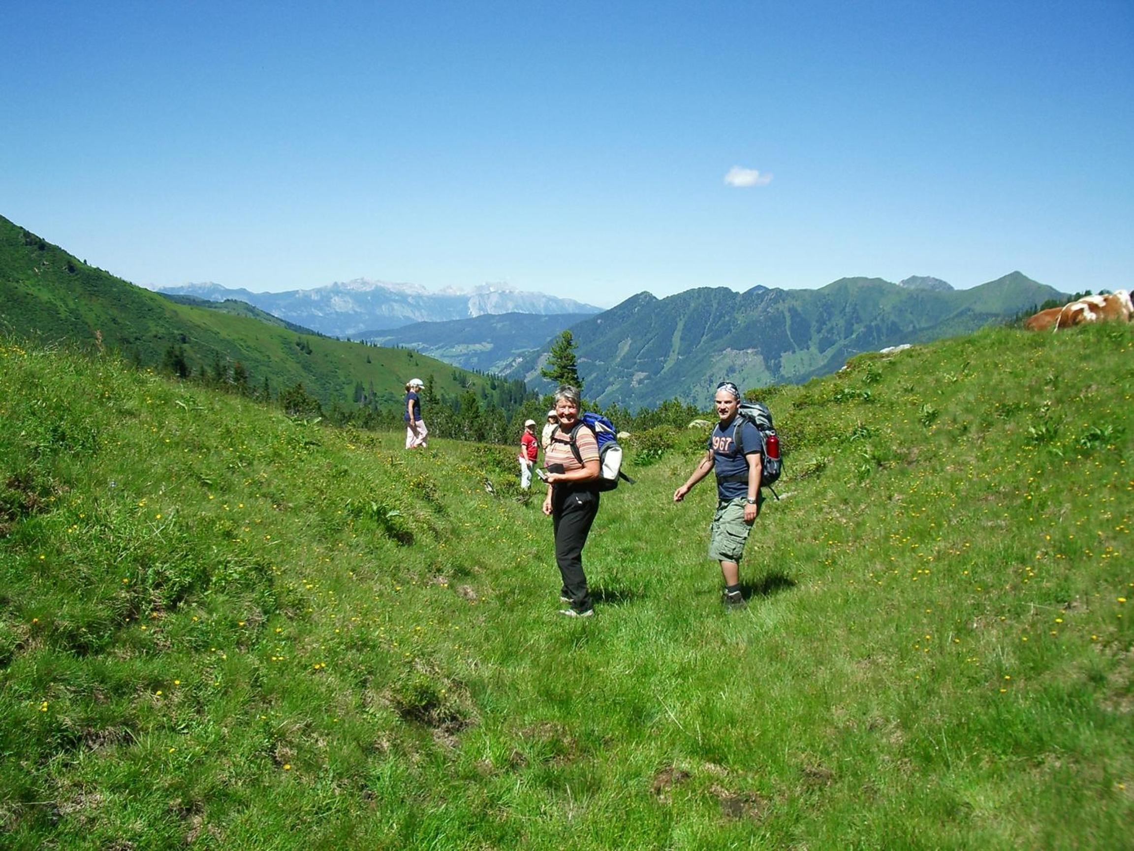 Der Perweinhof