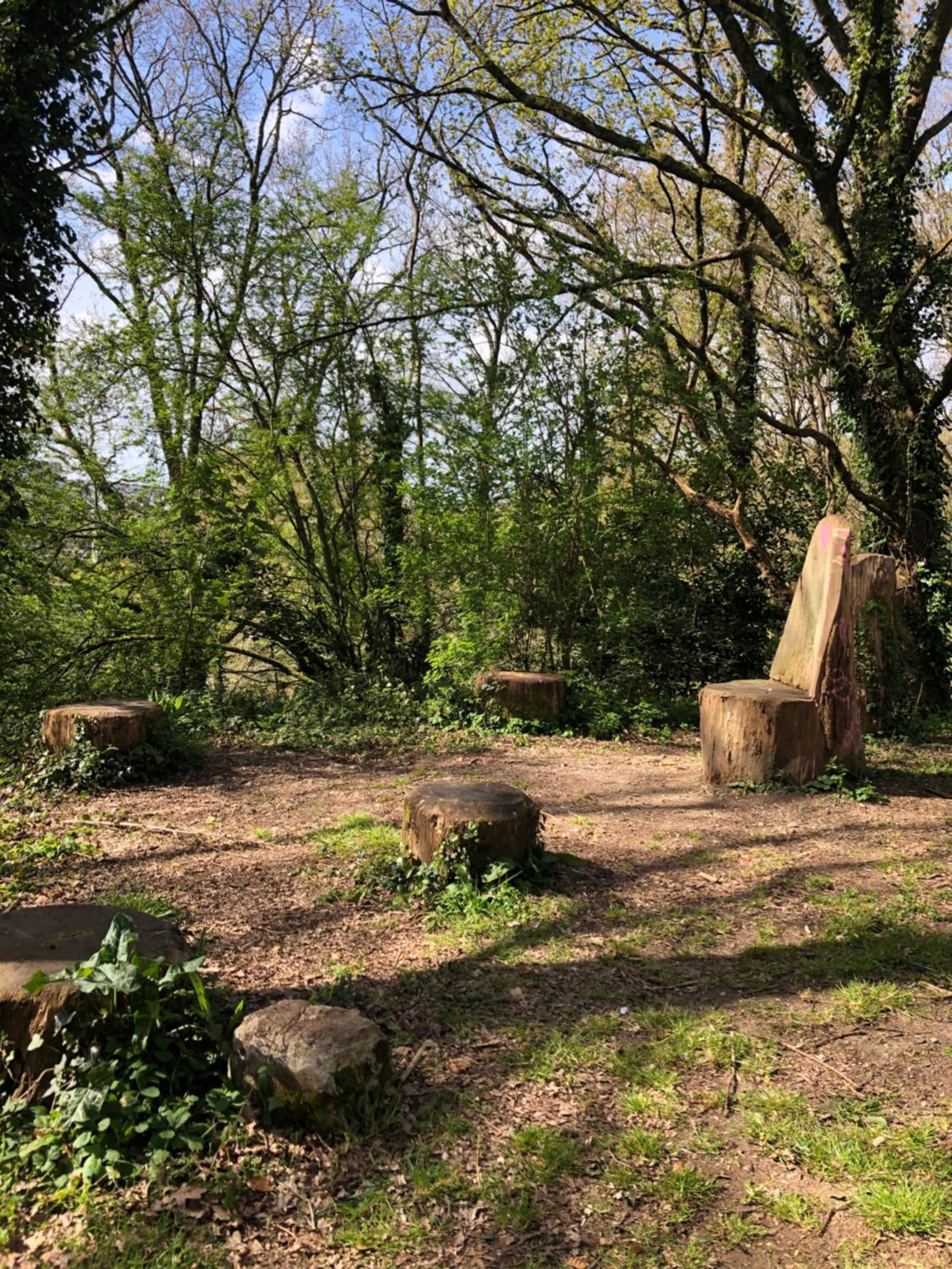Appartement au calme nature et centre ville