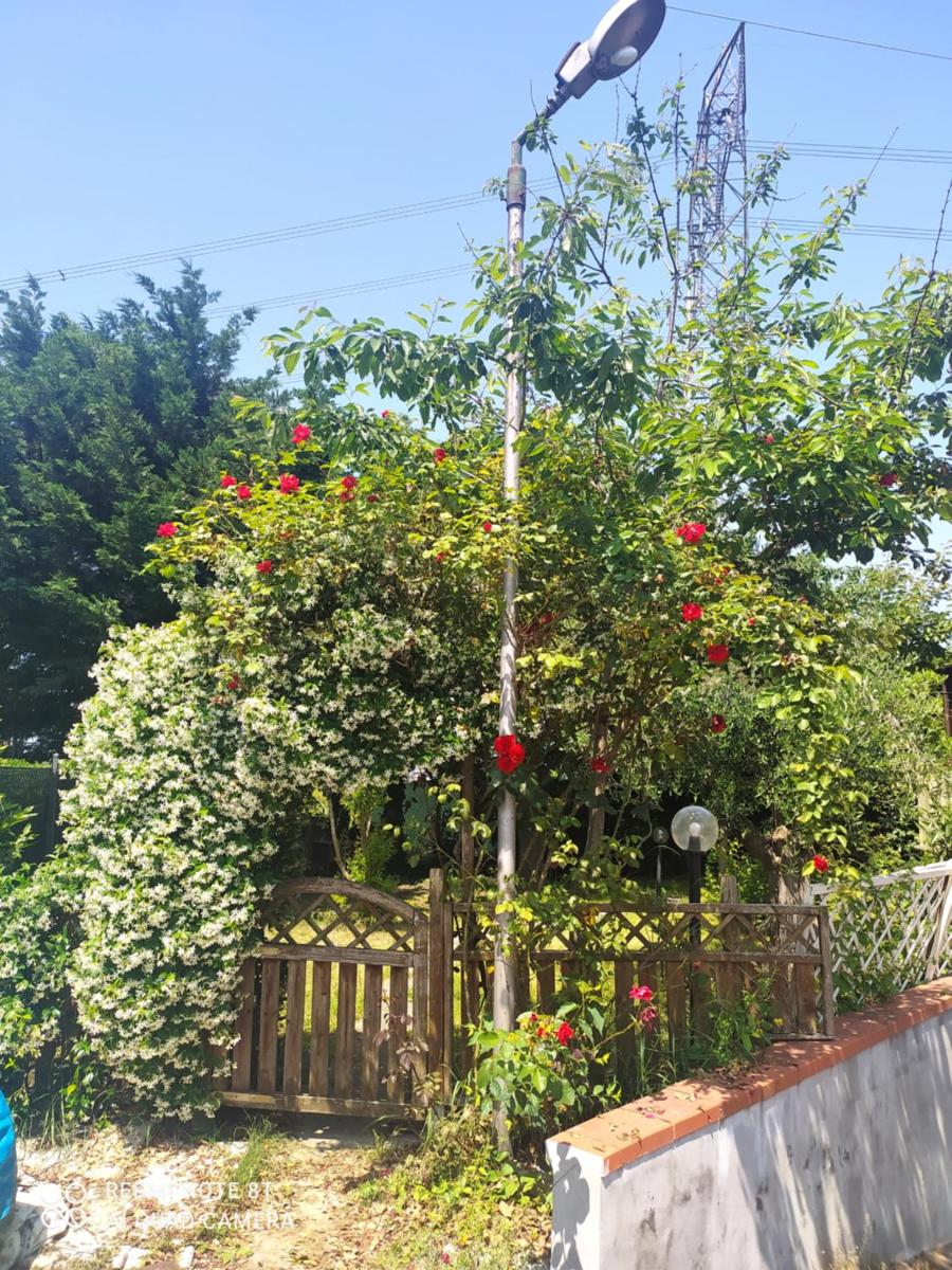 Casa delle Rose Appartamento Gelsomino photo 4