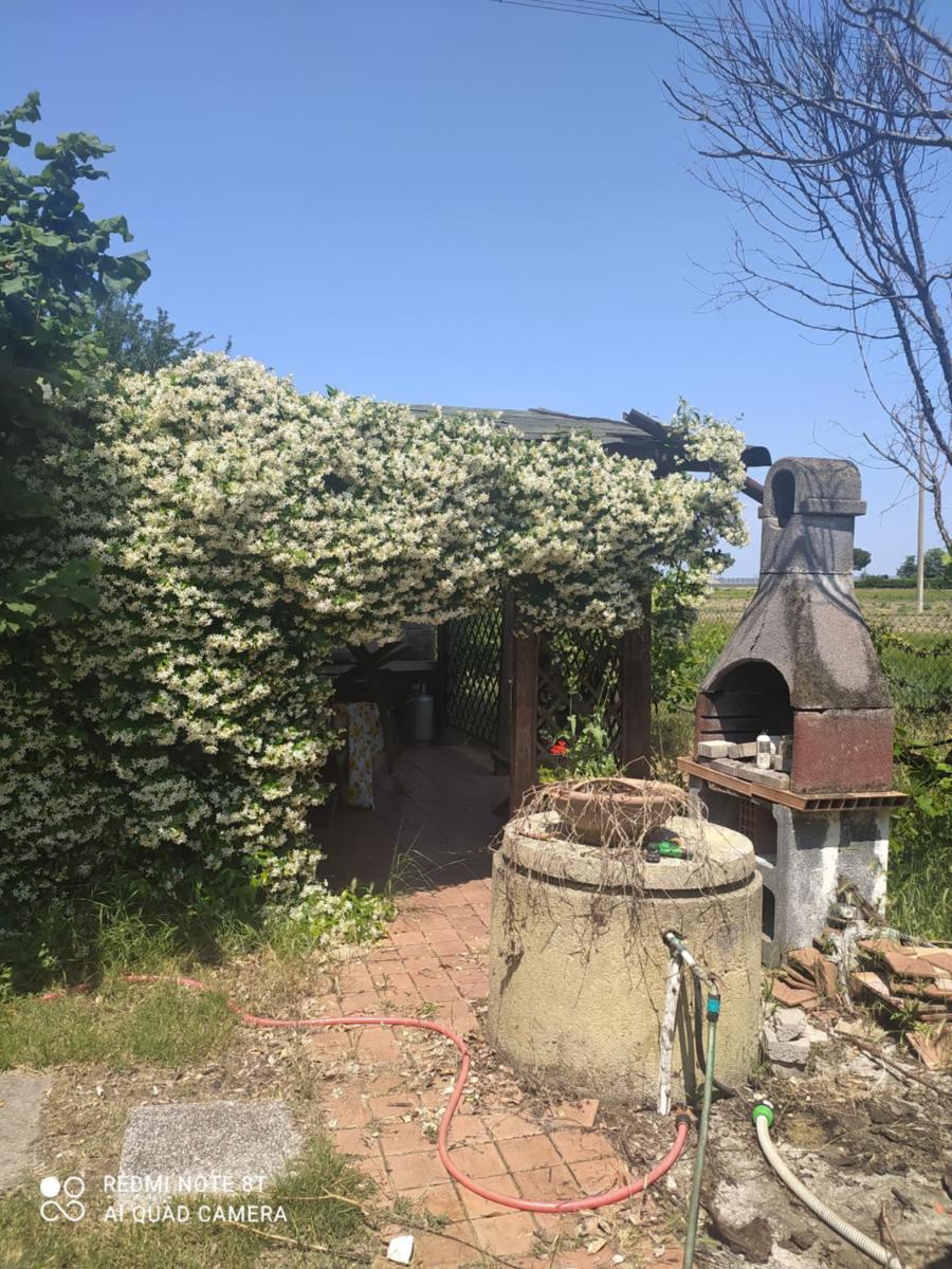 Casa delle Rose Appartamento Gelsomino photo 3